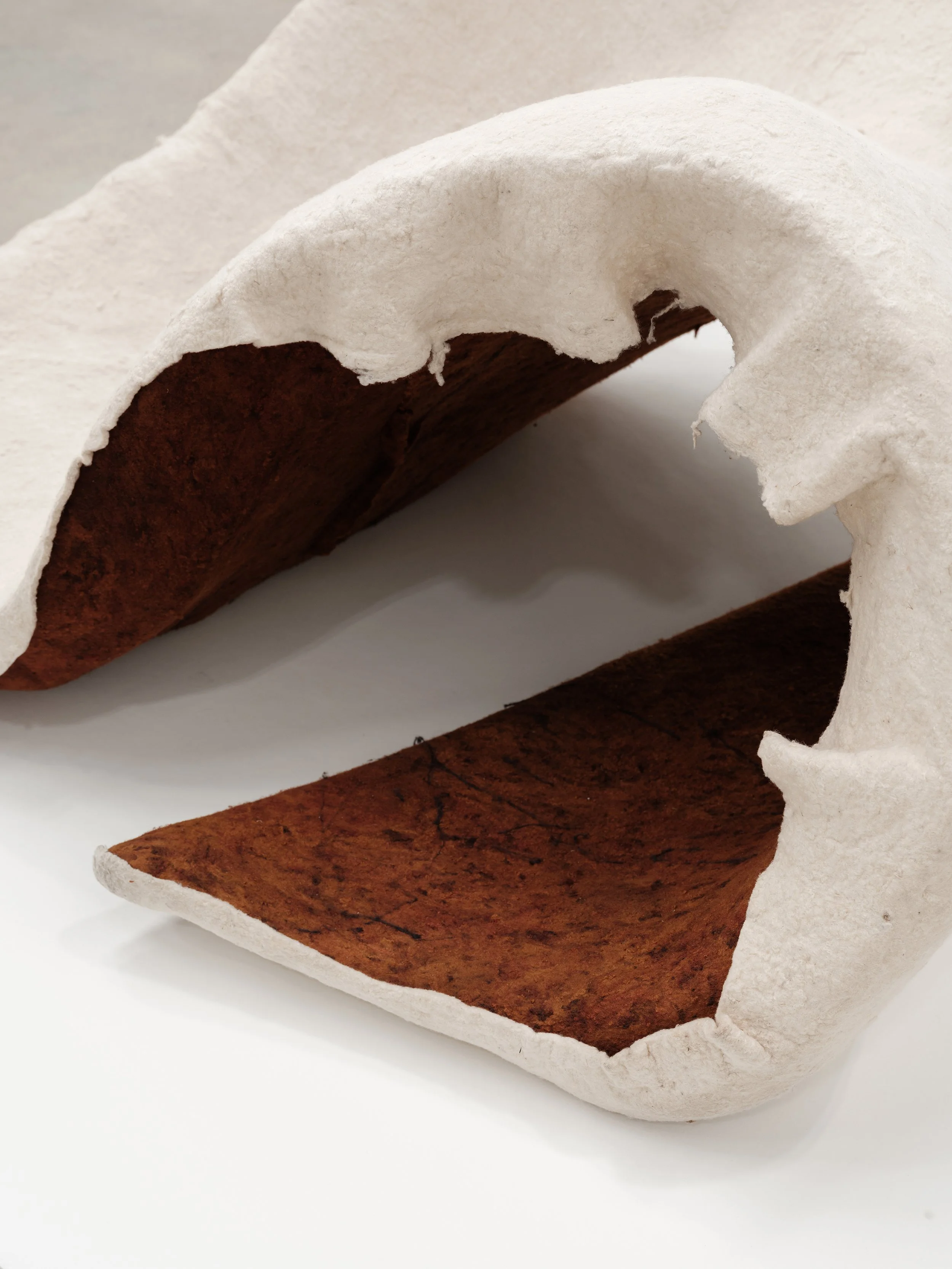 Scape V (detail) by Christine Jacobs .jpg