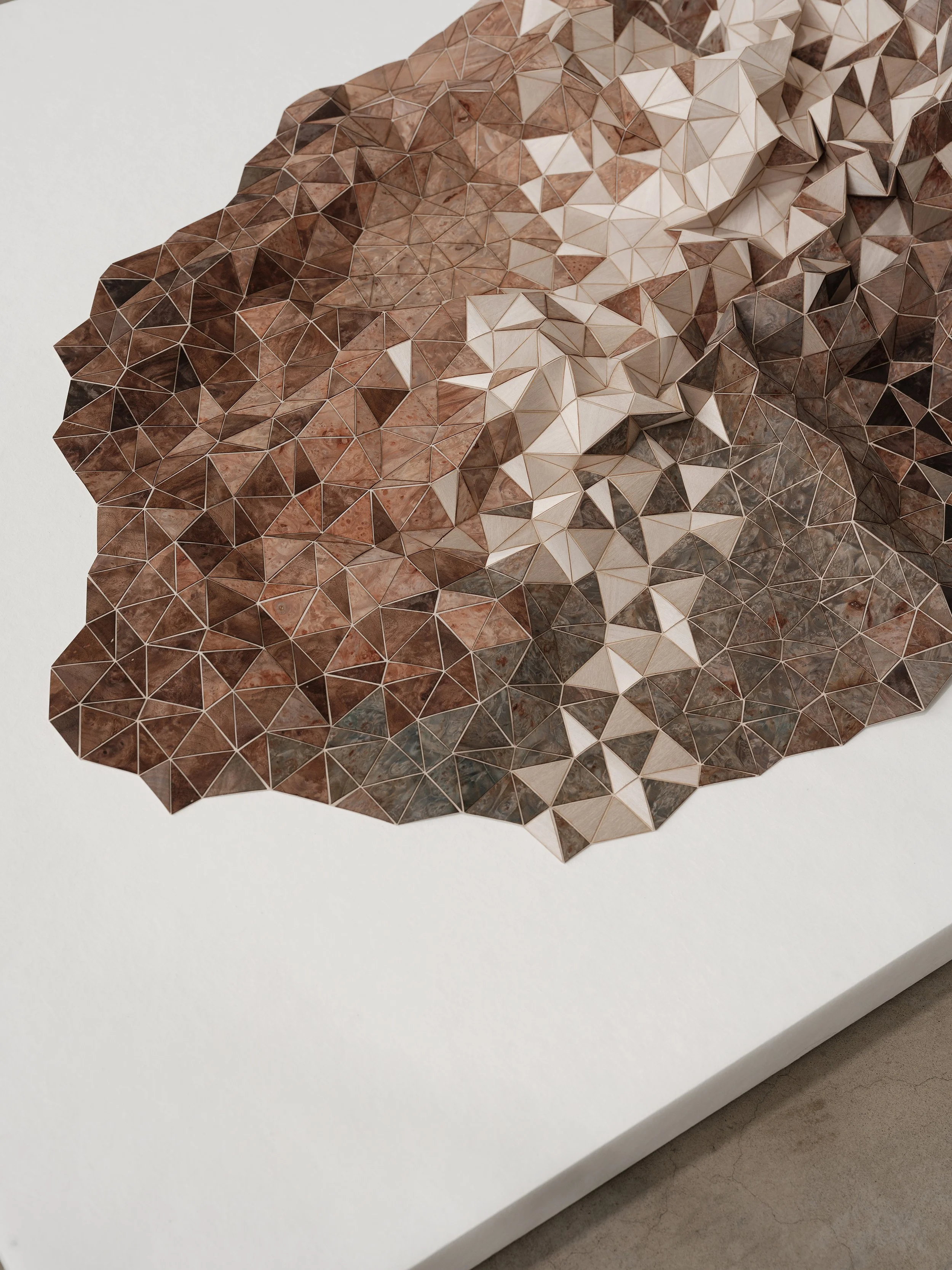 Resilient Topographies (detail) by Elisa Strozyk.jpg