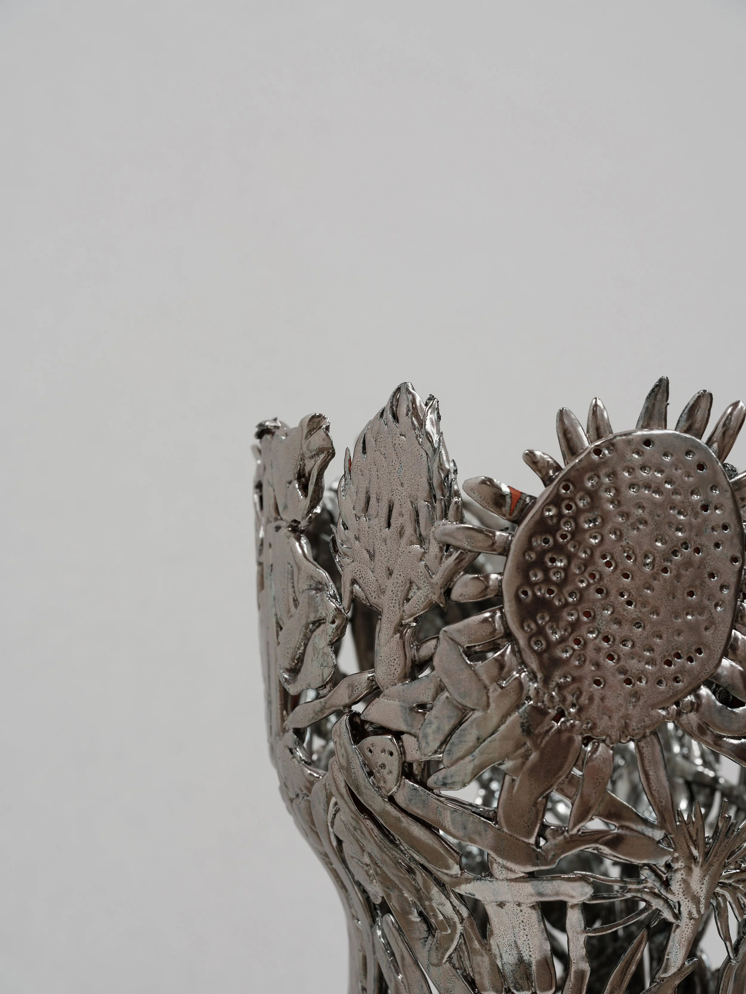 Preserved Garden Vessel (detail) by Marten Herma Anderson.jpg