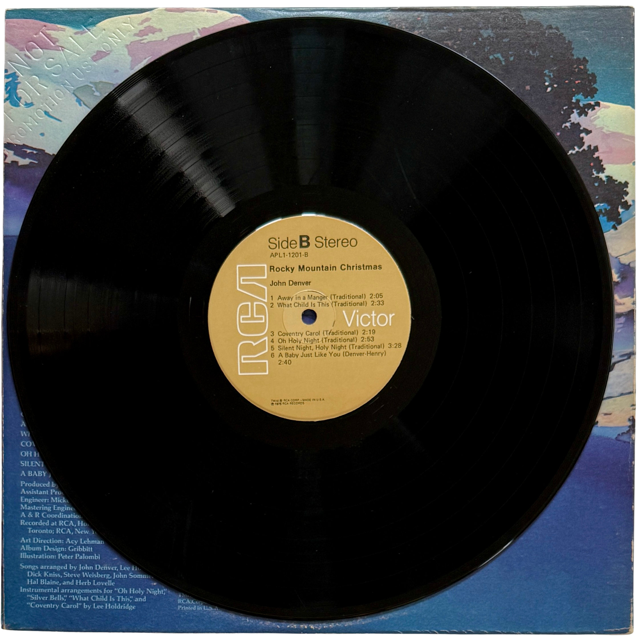 john denver_side 2_vinyl record.png (Copy)