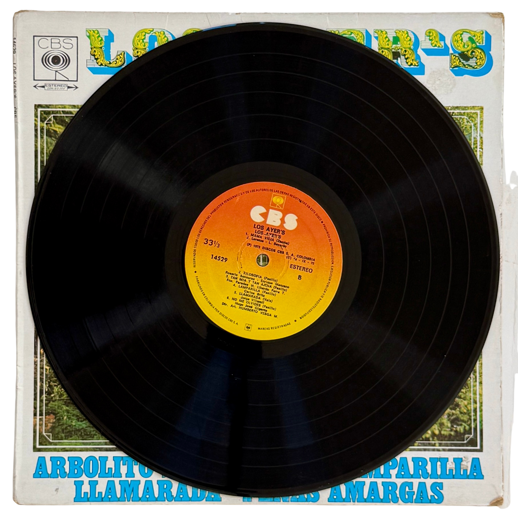 47_los ayers_side 2_vinyl record.png