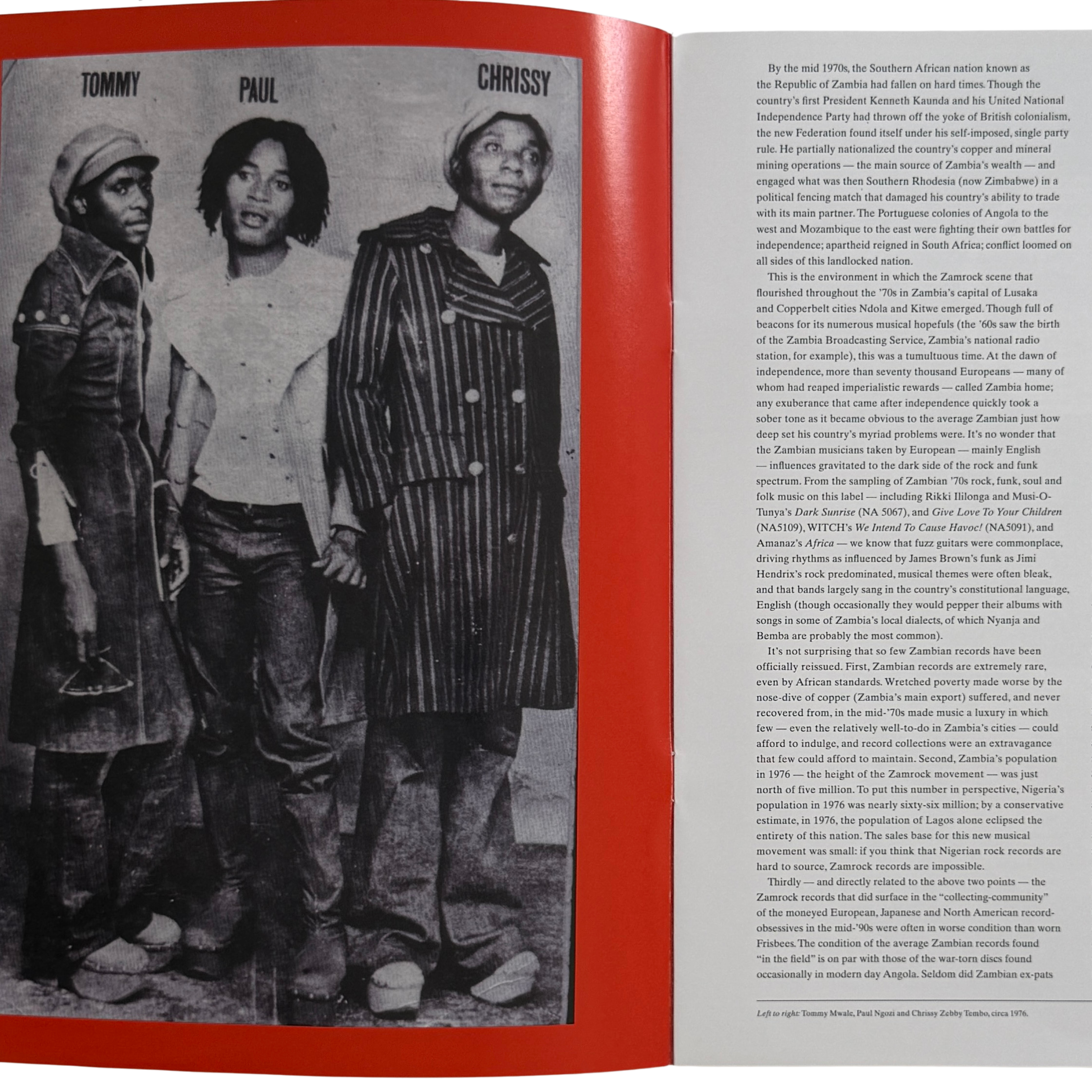 7_ngozia family_booklet__vinyl record.png