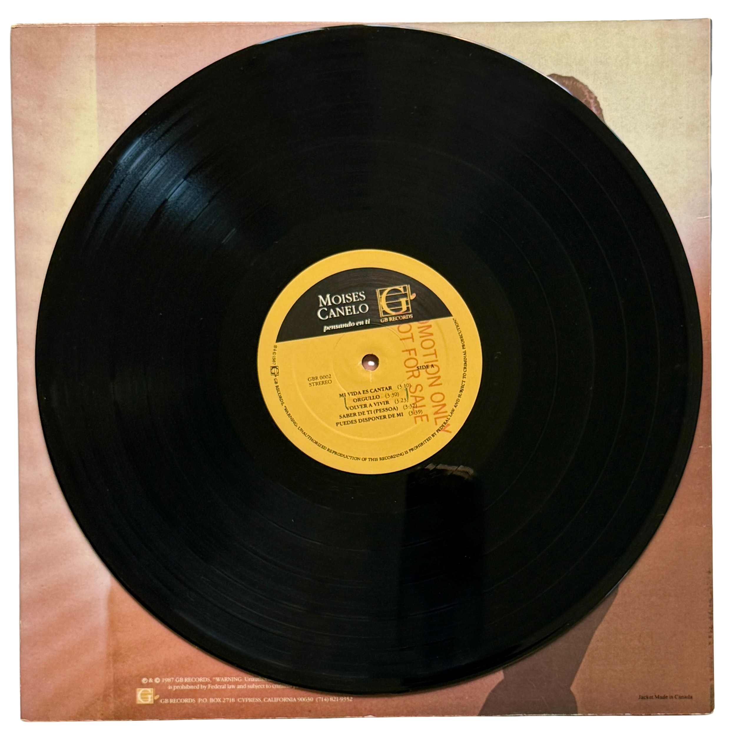 moises canelo_side 1_vinyl record - Edited.png