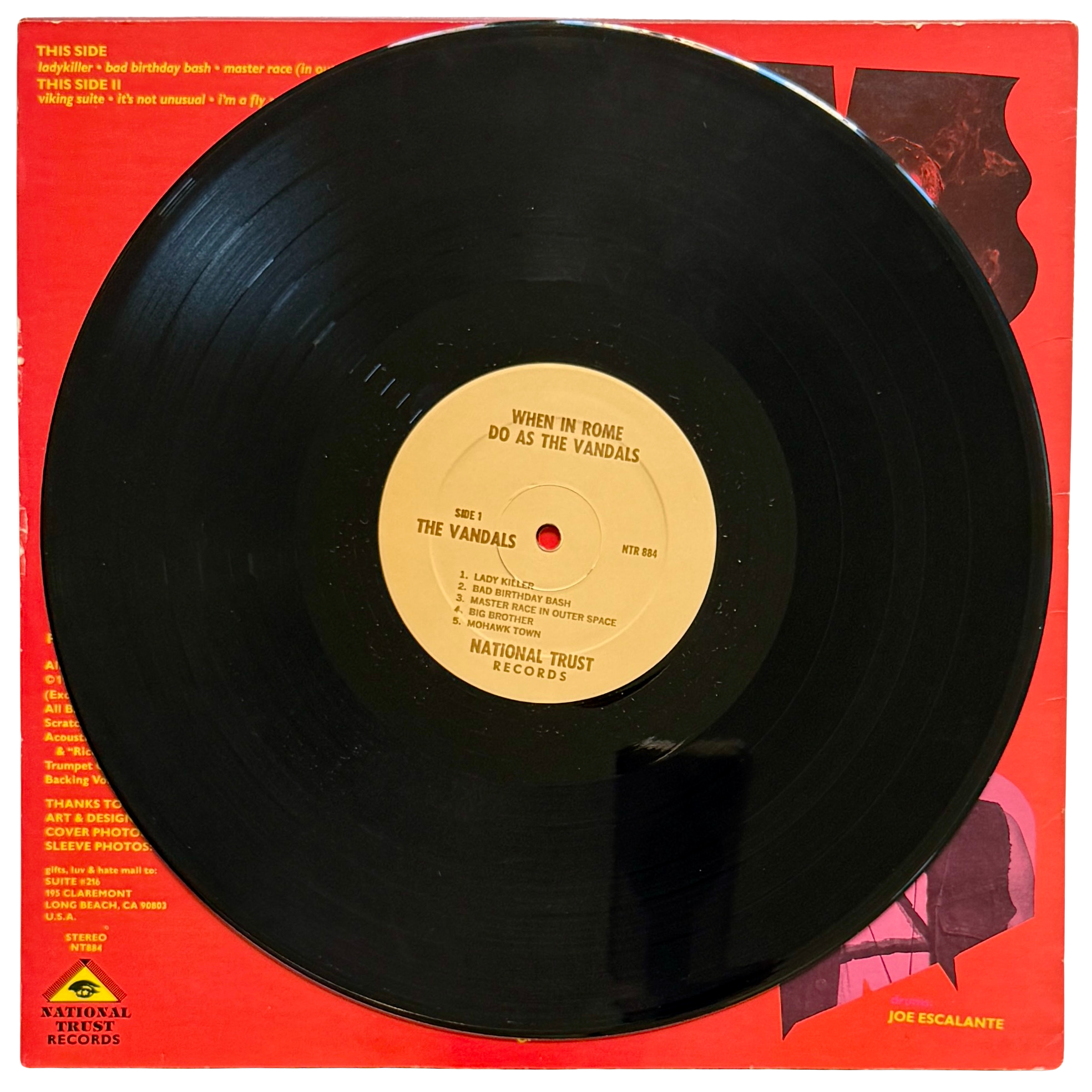 the vandals_side 1_vinyl record - Edited.png