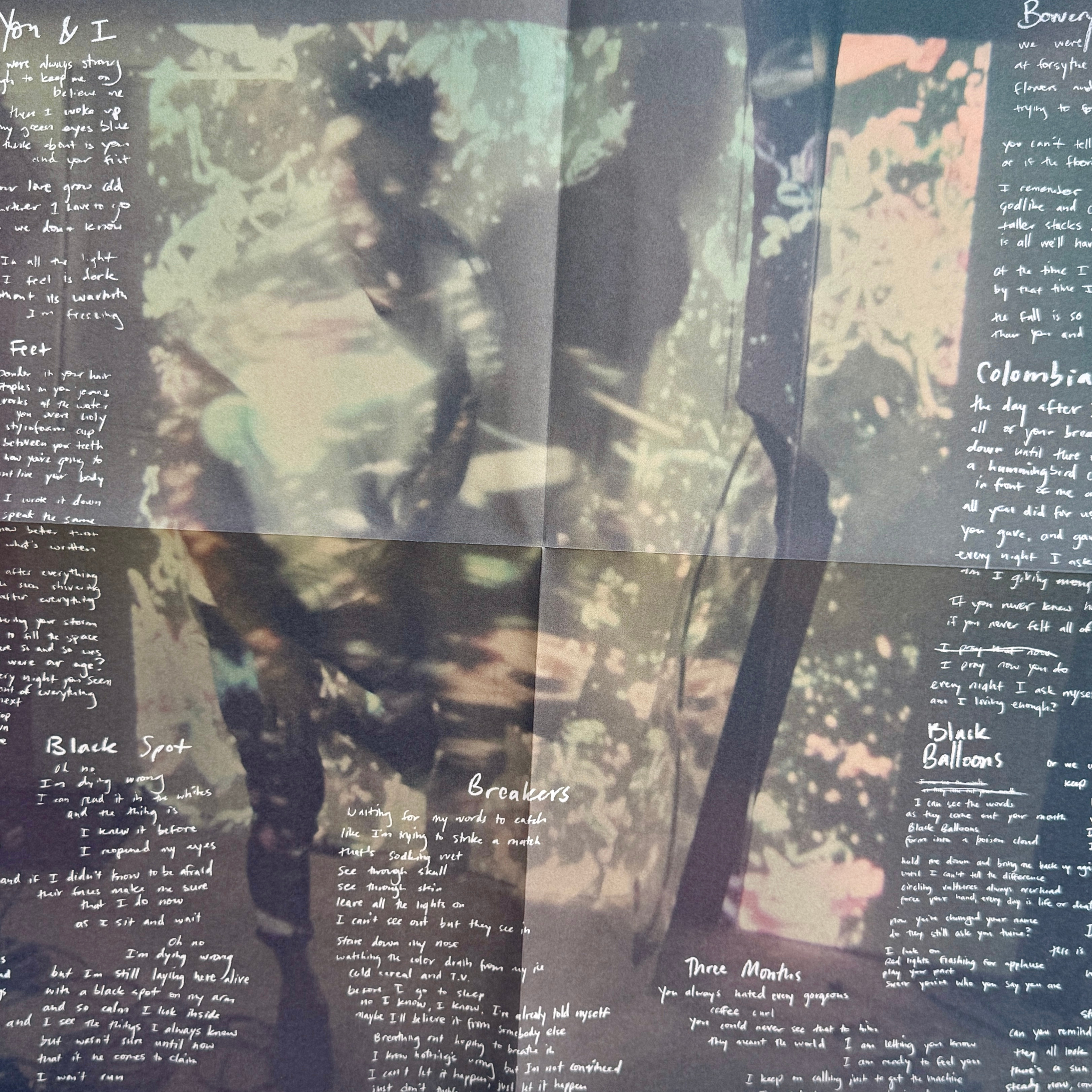 3_local natives_poster 1_vinyl record.png
