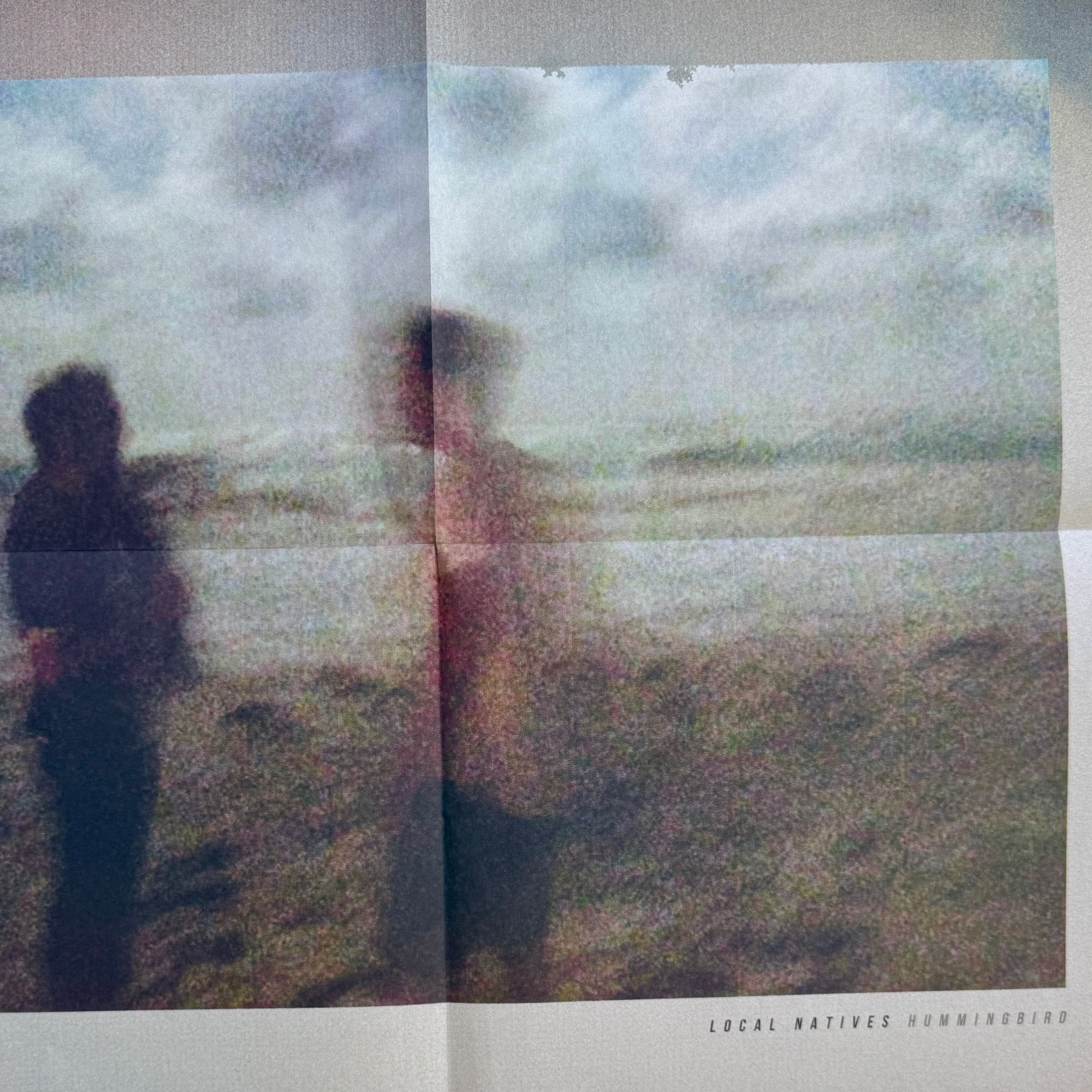 32_local natives_poster 2_vinyl record.png