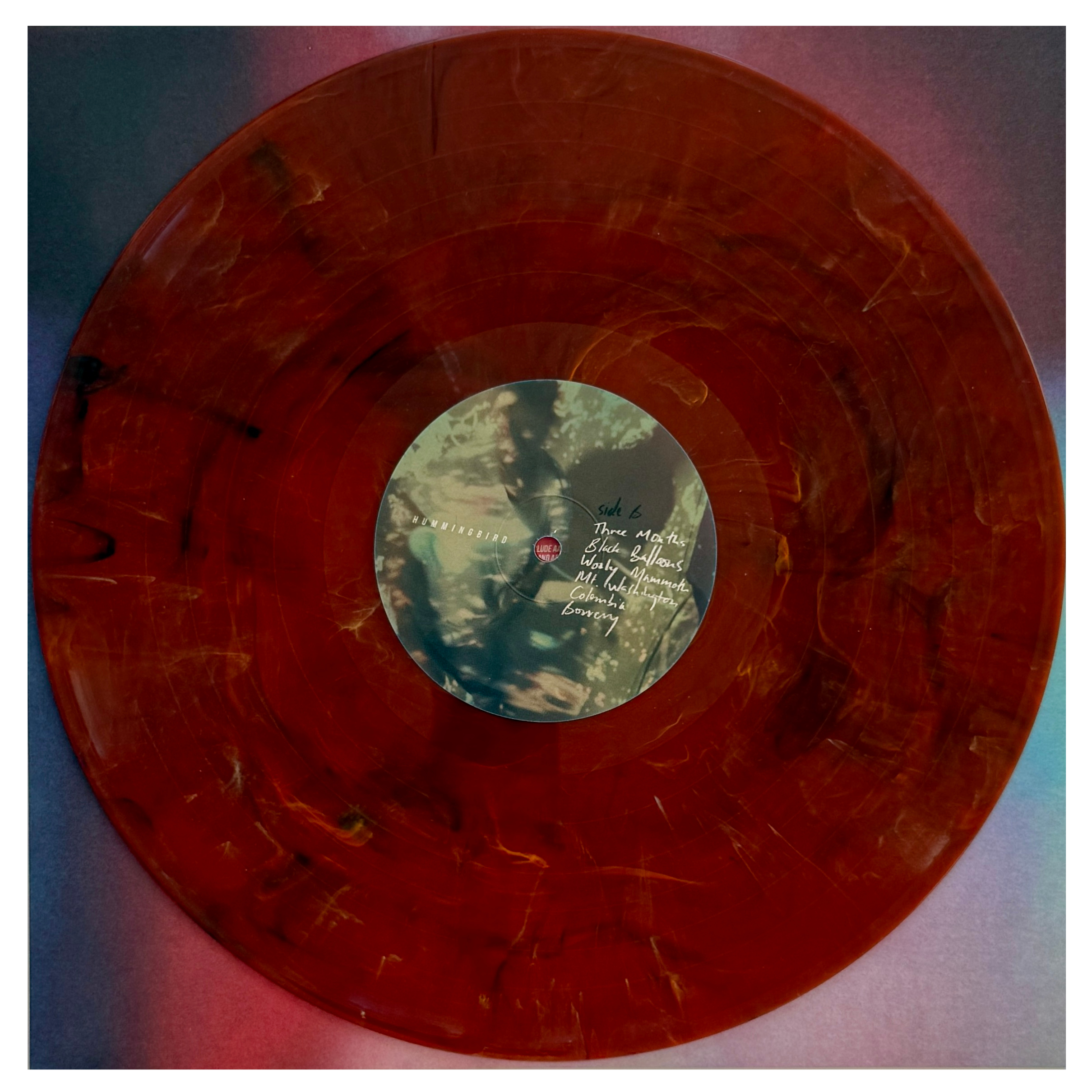 43_local natives_side 2_vinyl record.png