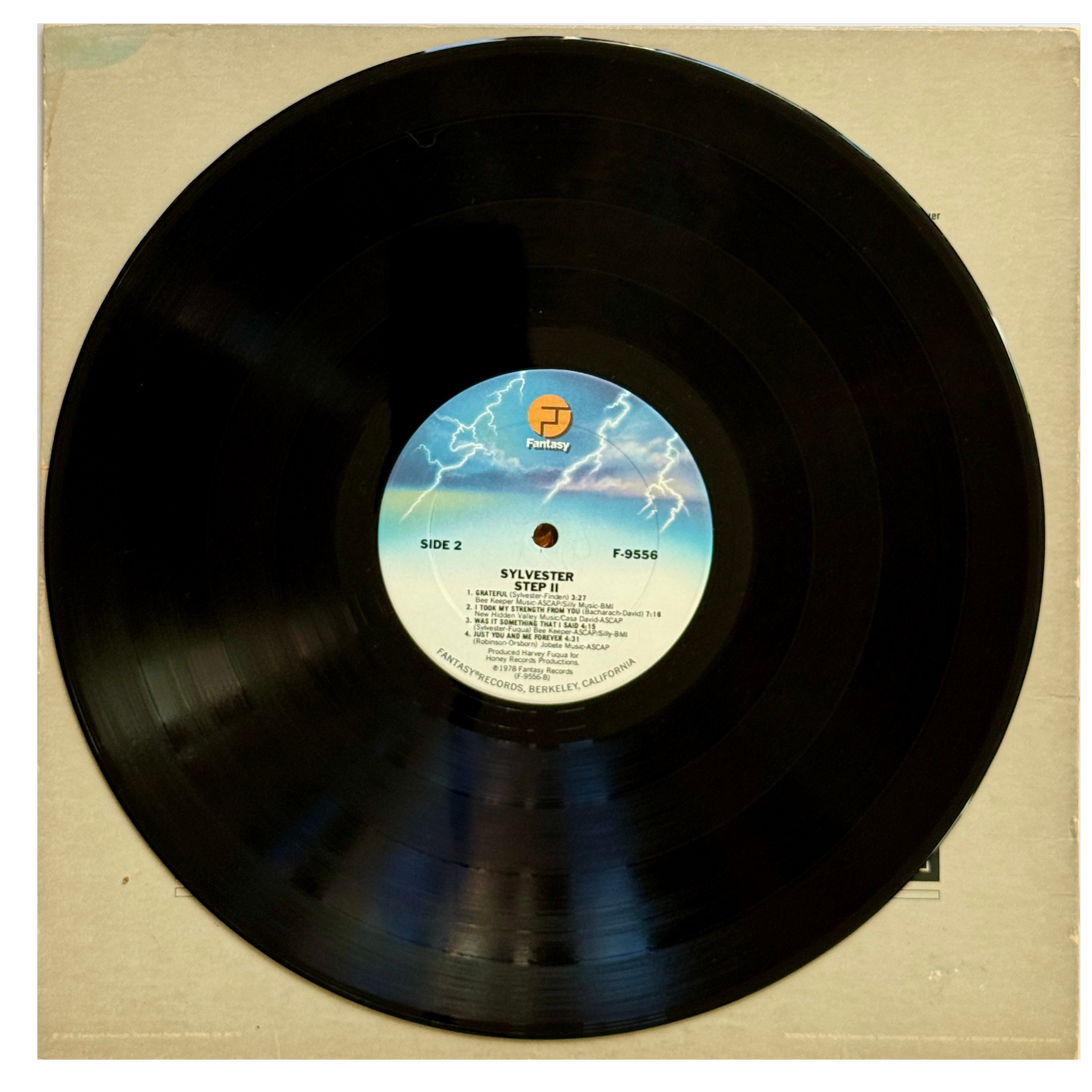 Sylvester_Step II_Side B_Vinyl Record - edited.png