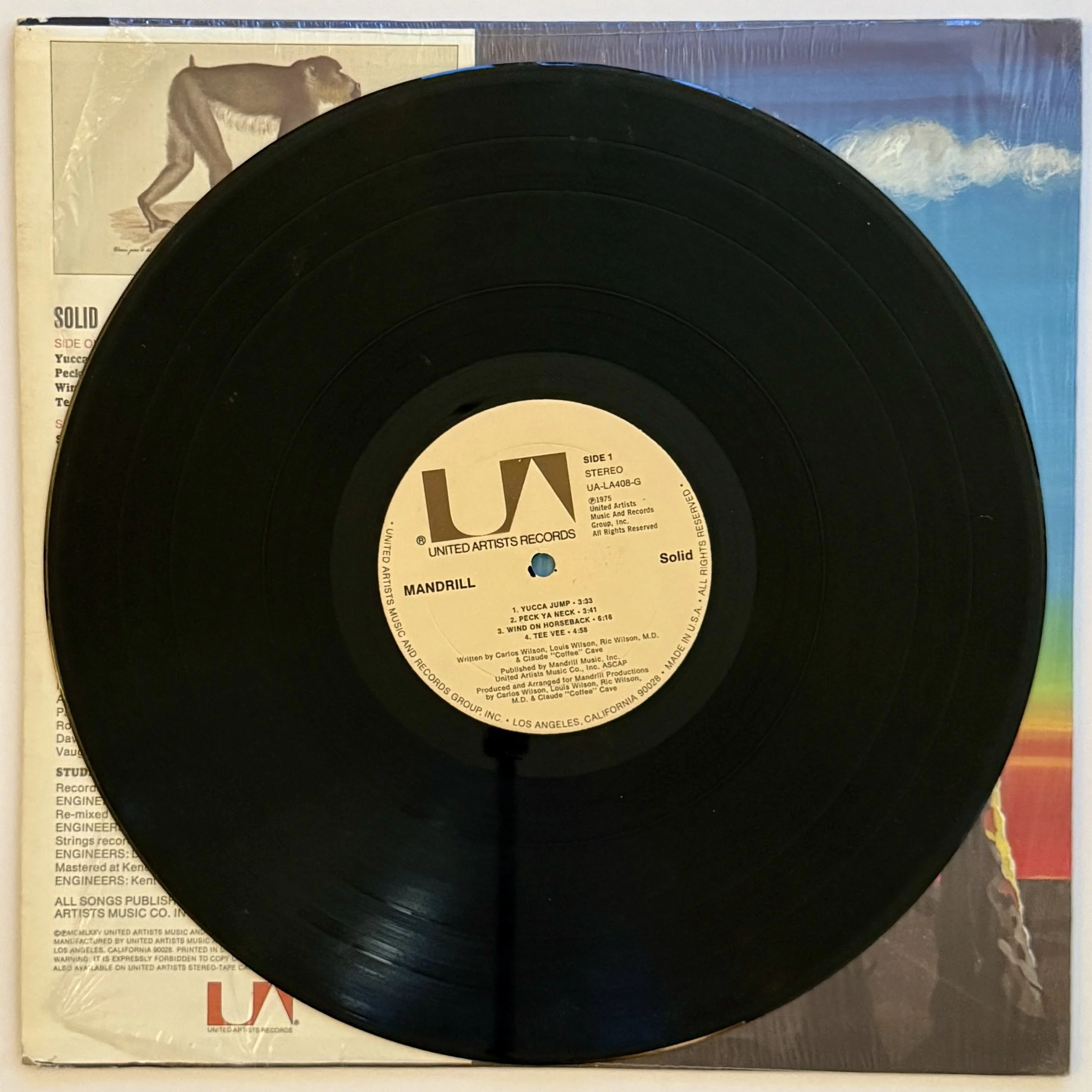 mandrill_solid_side 1_vinyl record.jpg