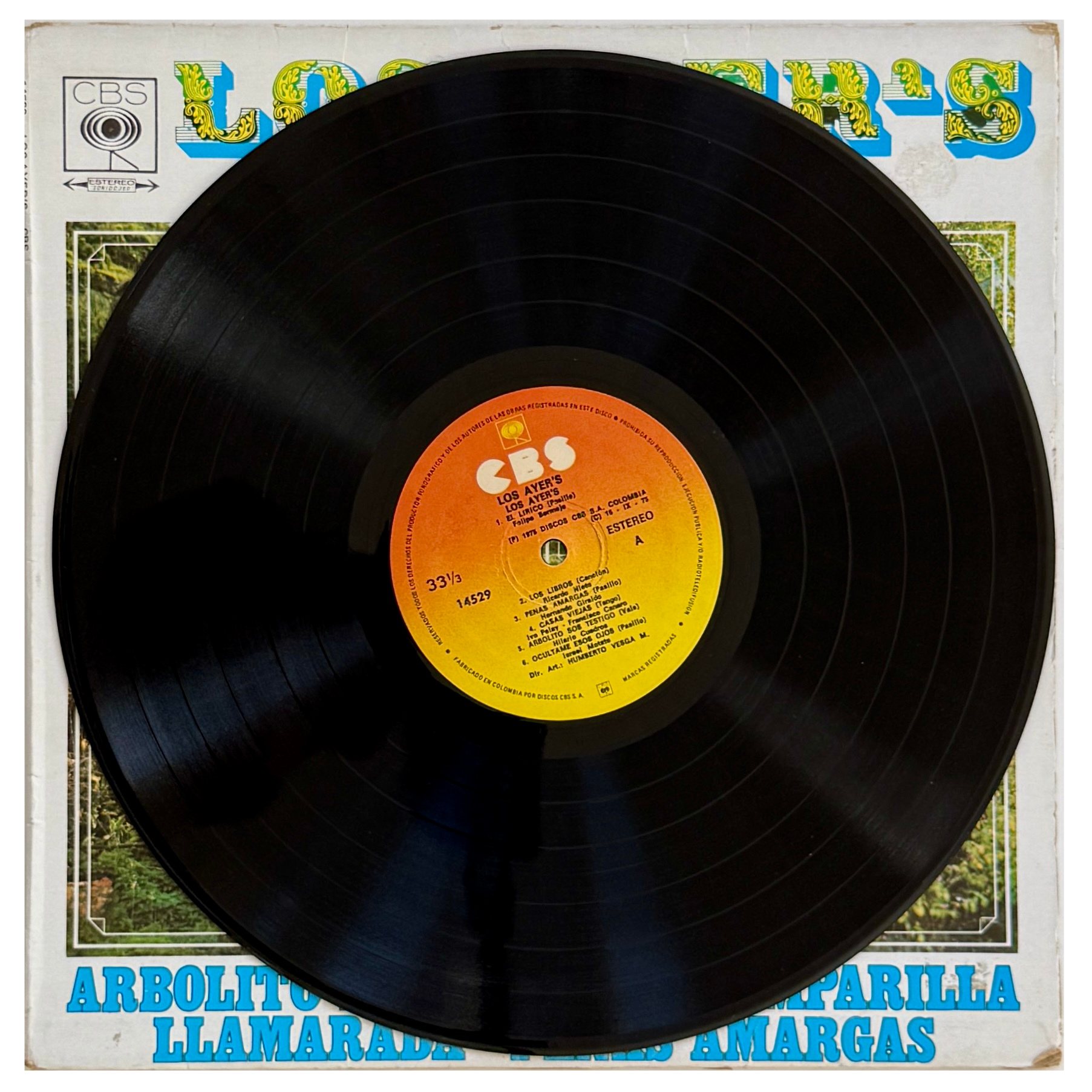 22_los ayers_side 1_vinyl record.png