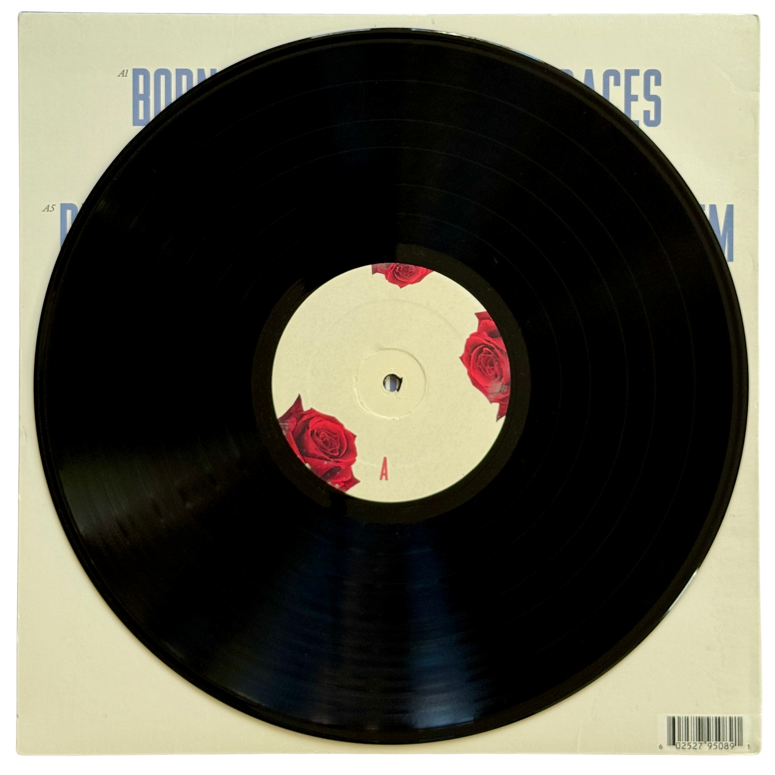 Lana Del Rey_Born to Die_Side A_Vinyl Record - edited.png
