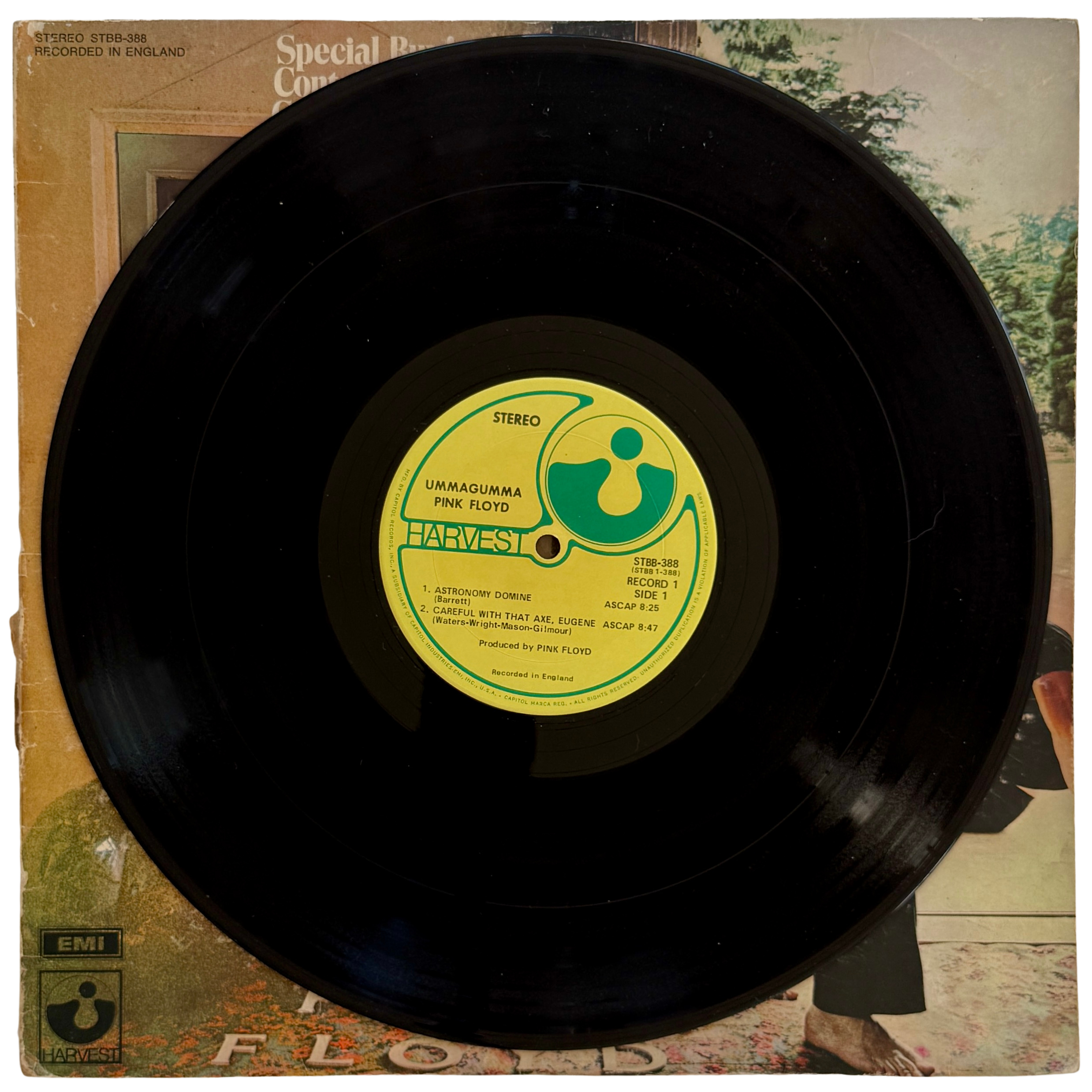 14_pink floyd_umma_side 1_vinyl record.png