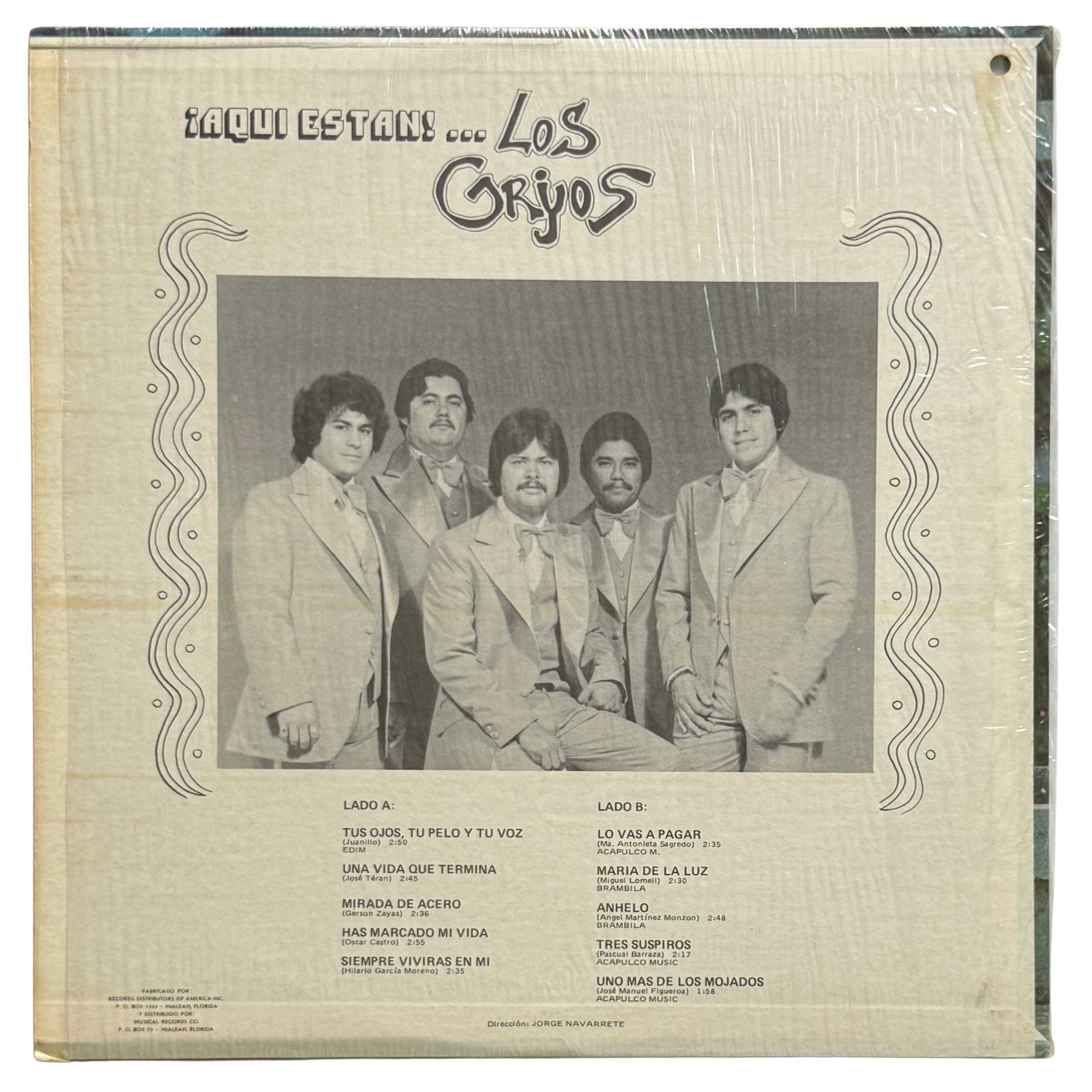 los griyos_back cover_vinyl record - Edited.png