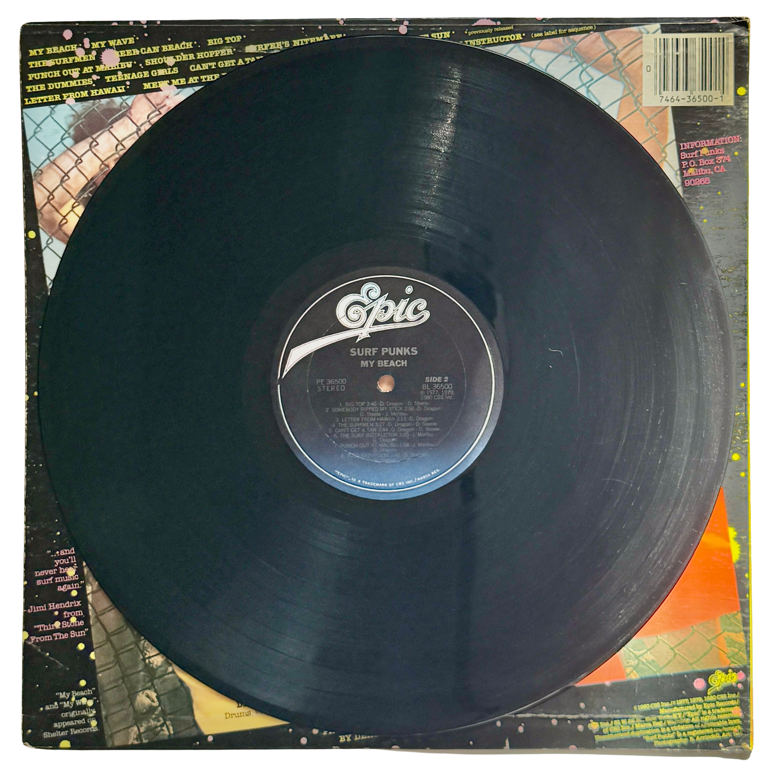 surf punks_my beach_side 2_vinyl record - Edited.png