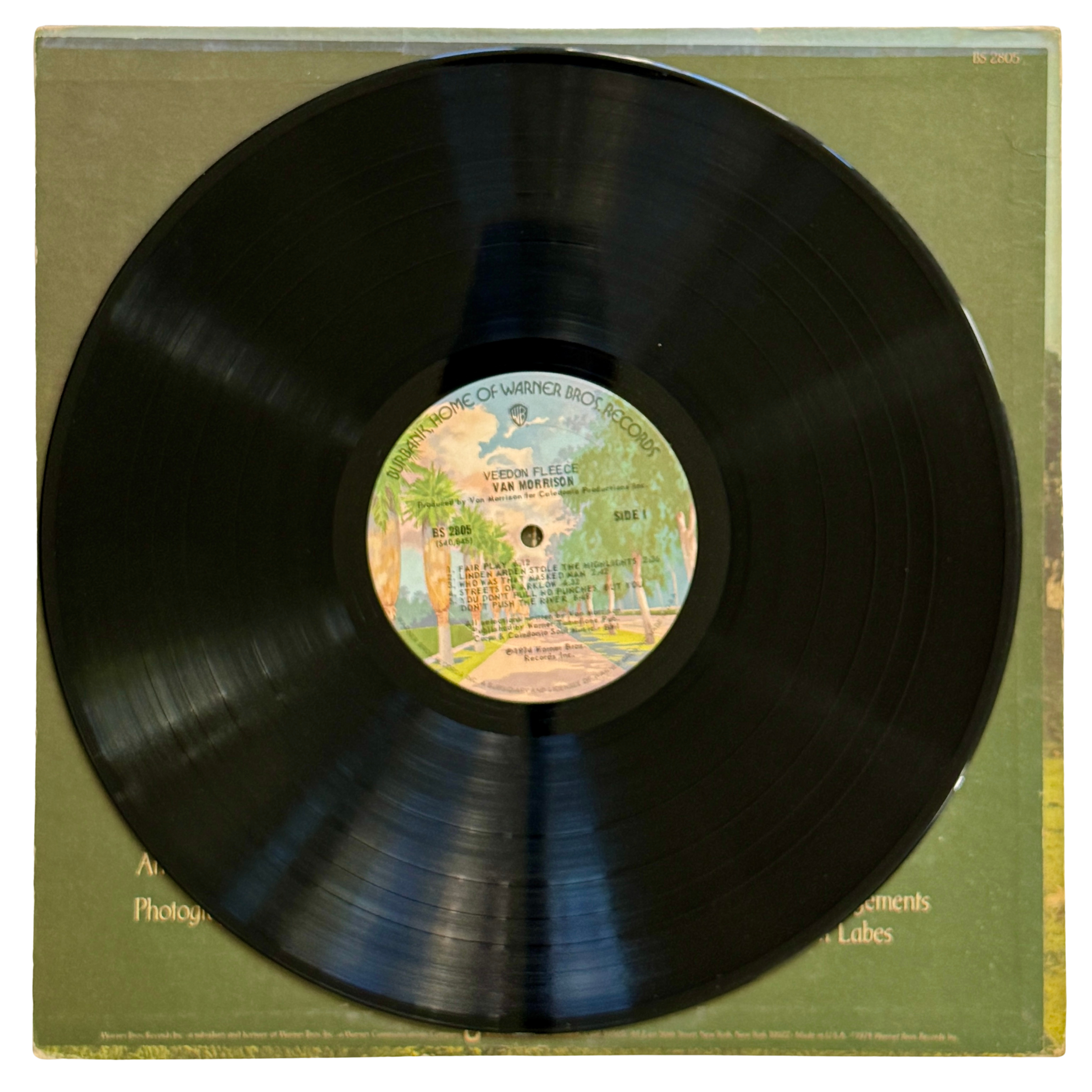 Van Morrison_Veedon Fleece_Side A_Vinyl Record - edited.png