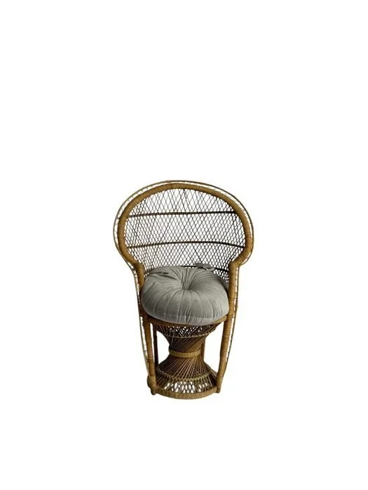 Rattan Peacock Chair (Large)