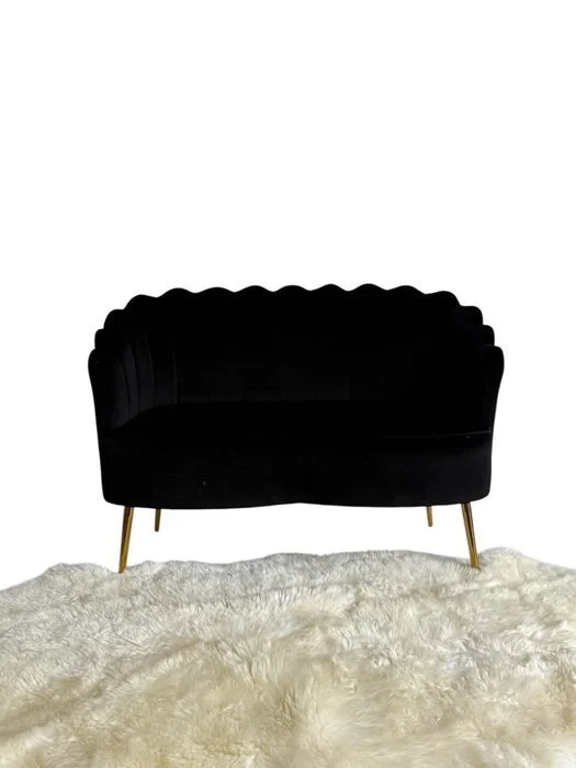 Black Velvet Loveseat