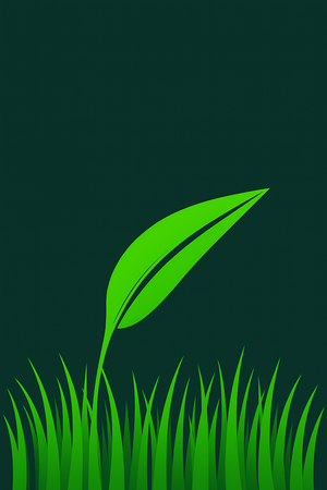 Quality Turf Landscape Contractors photo 7