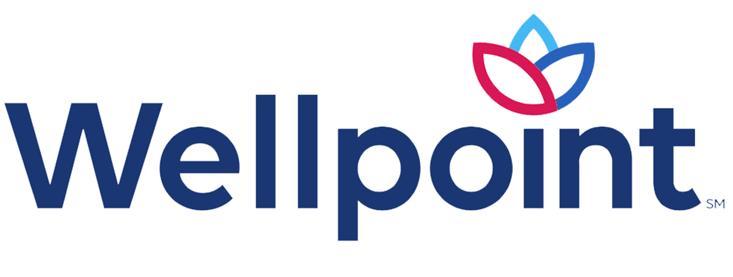 The Wellpoint logo with blue lettering and a colorful flower above the letter 'i'.