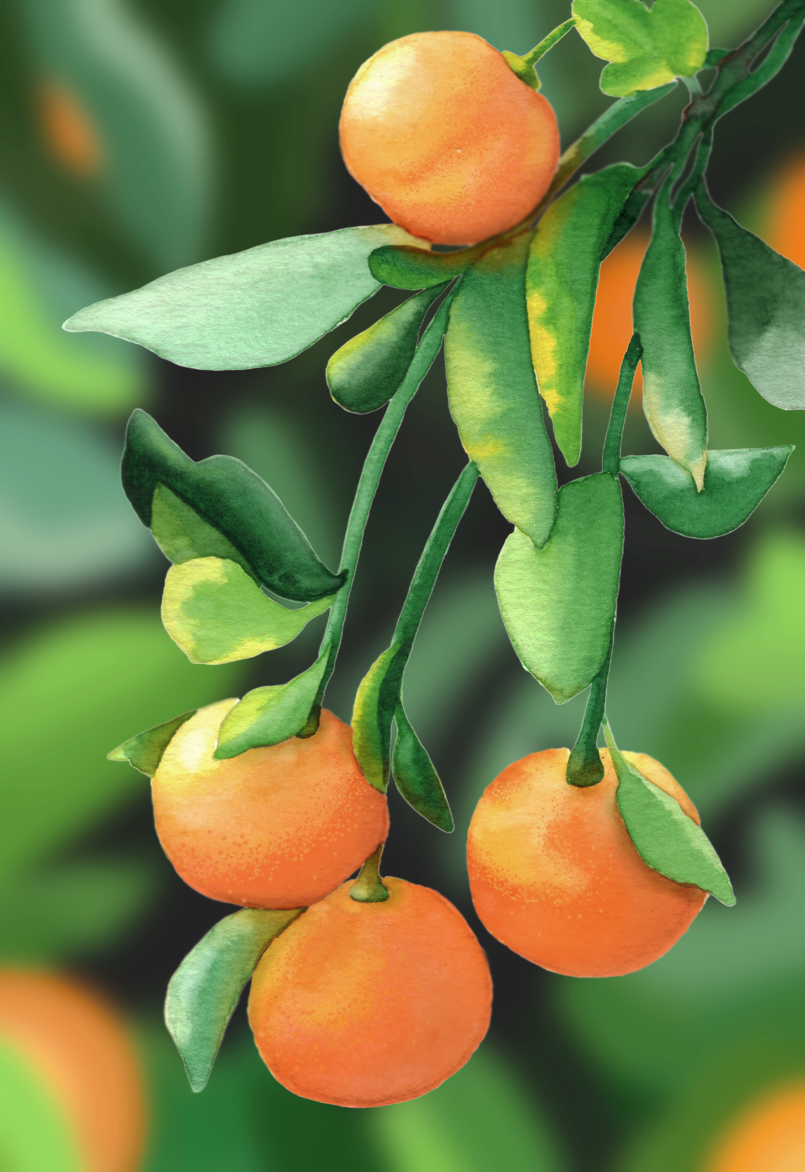Oranges mixed media.png