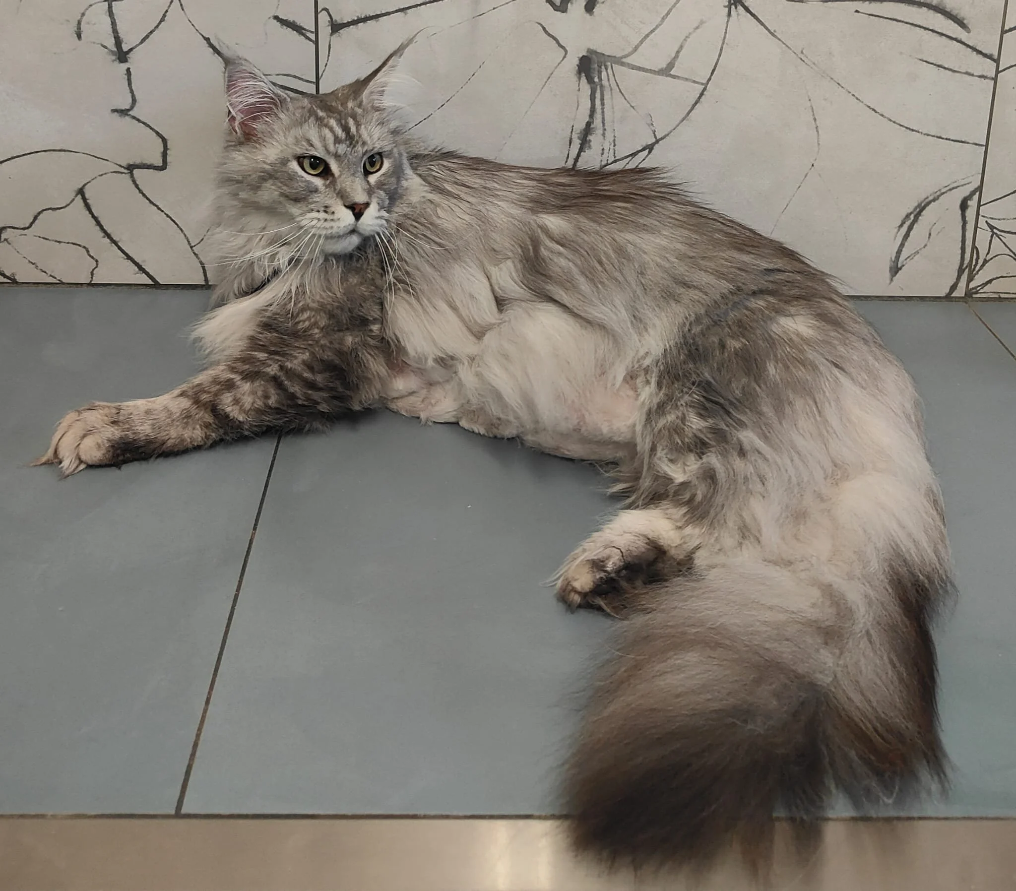 WhatsApp Image 2025-11-25 at 12.15.12 (2).jpeg