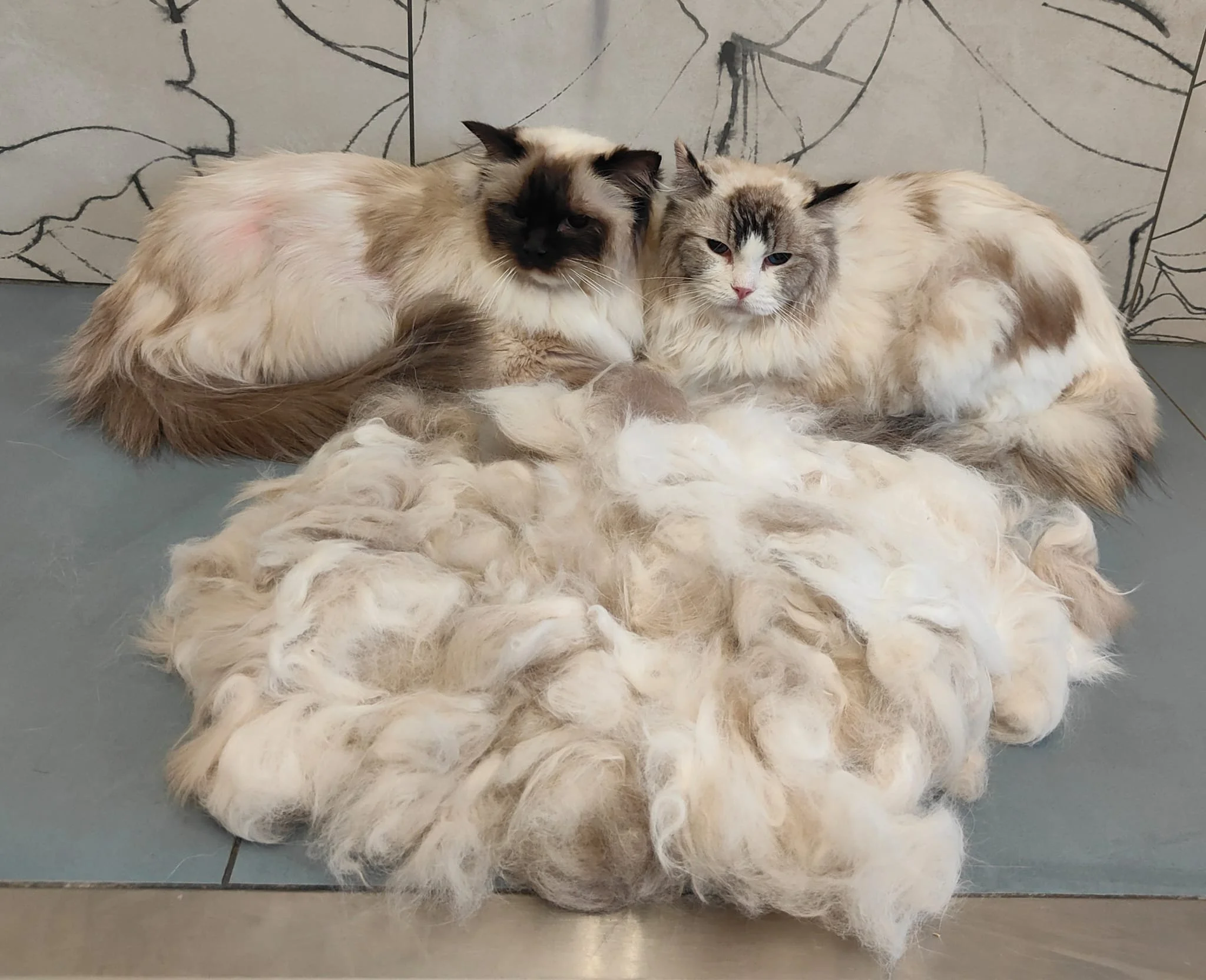 WhatsApp Image 2025-11-25 at 12.15.12 (5).jpeg