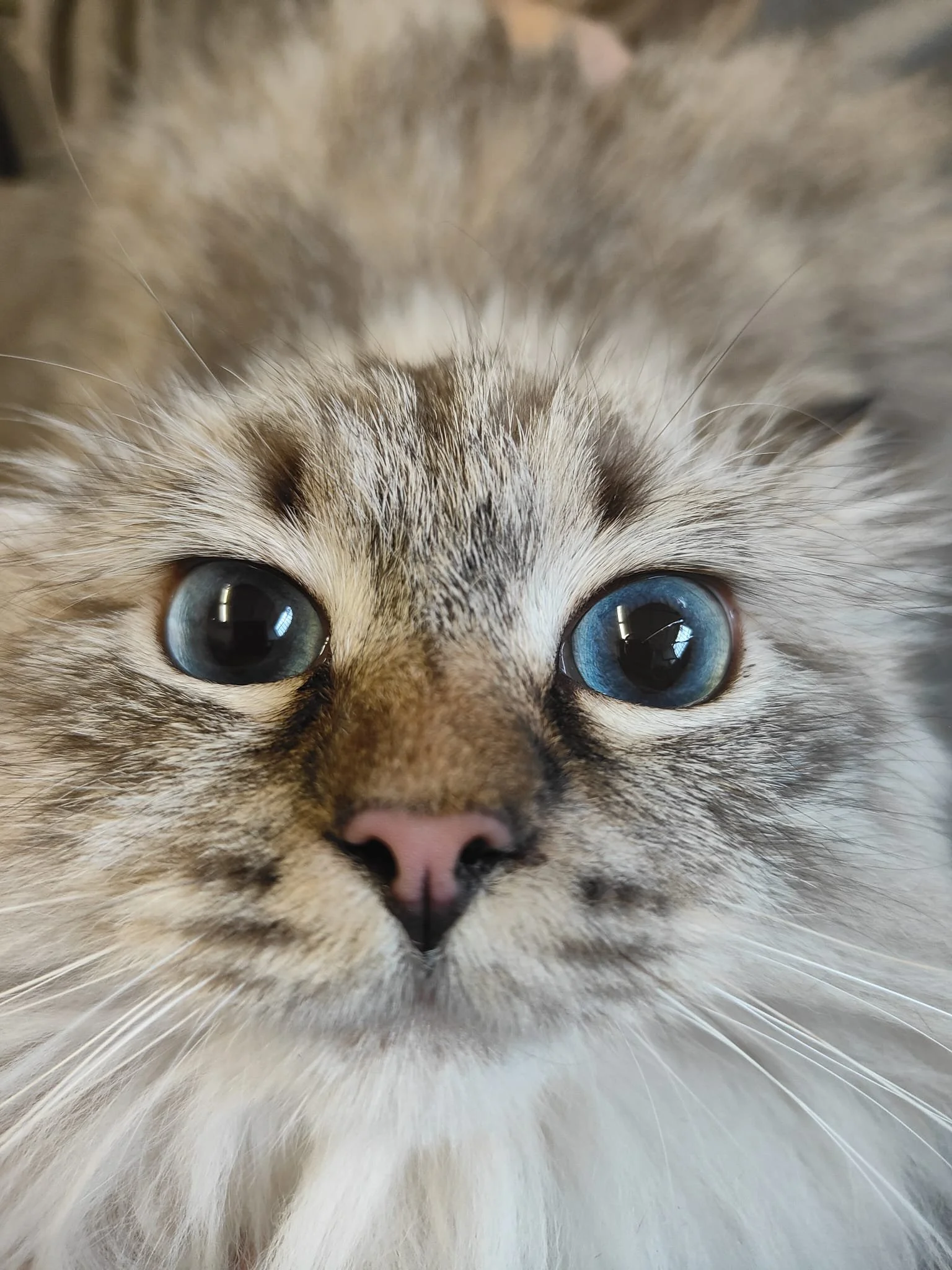 WhatsApp Image 2025-11-25 at 12.15.12 (3).jpeg