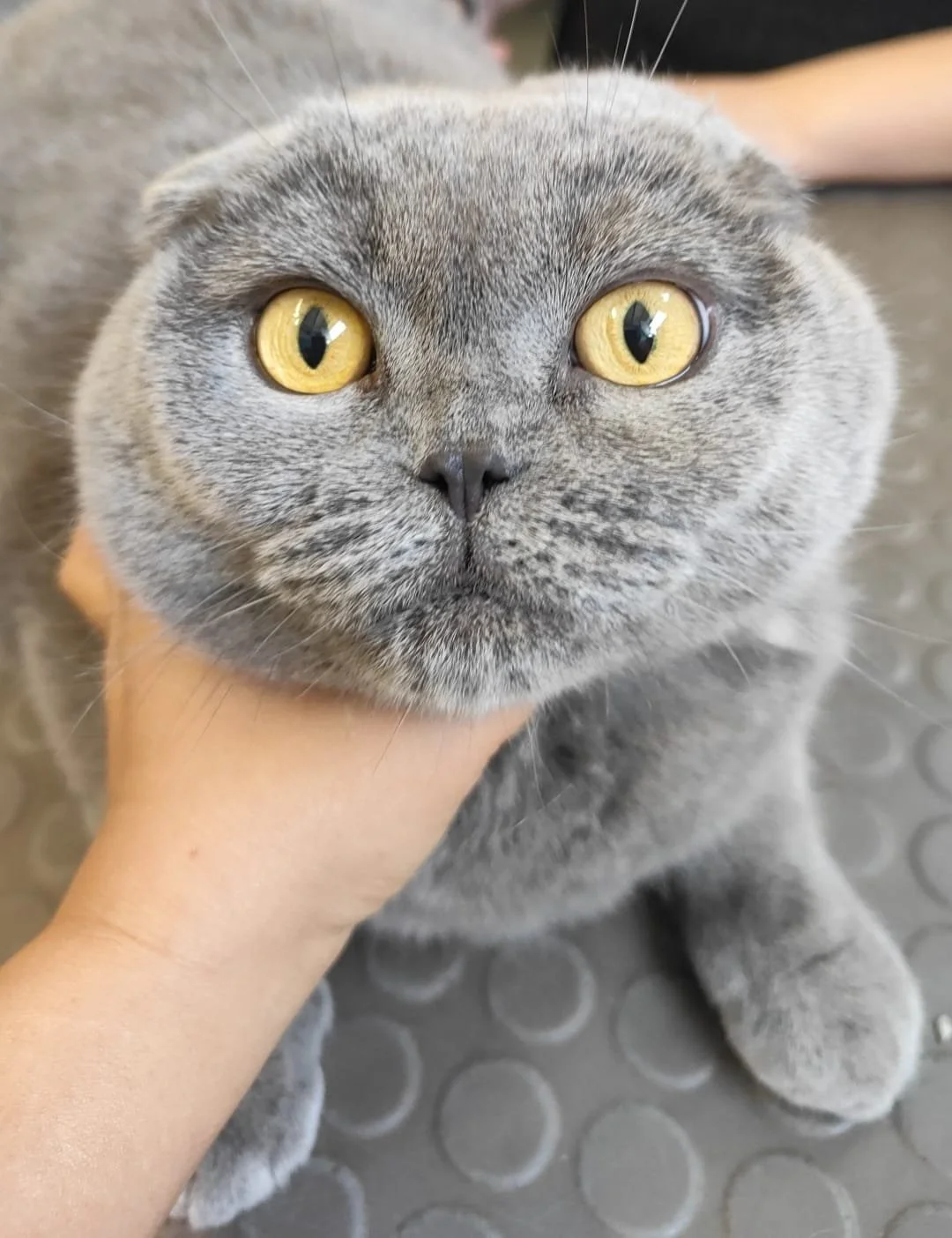 WhatsApp Image 2025-11-25 at 12.15.13.jpeg