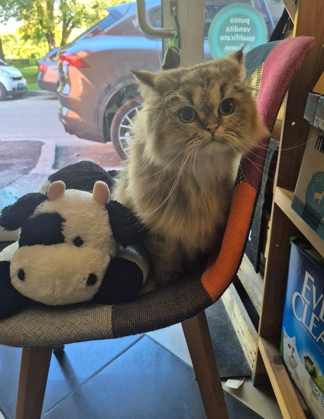 WhatsApp Image 2025-11-25 at 12.15.10.jpeg