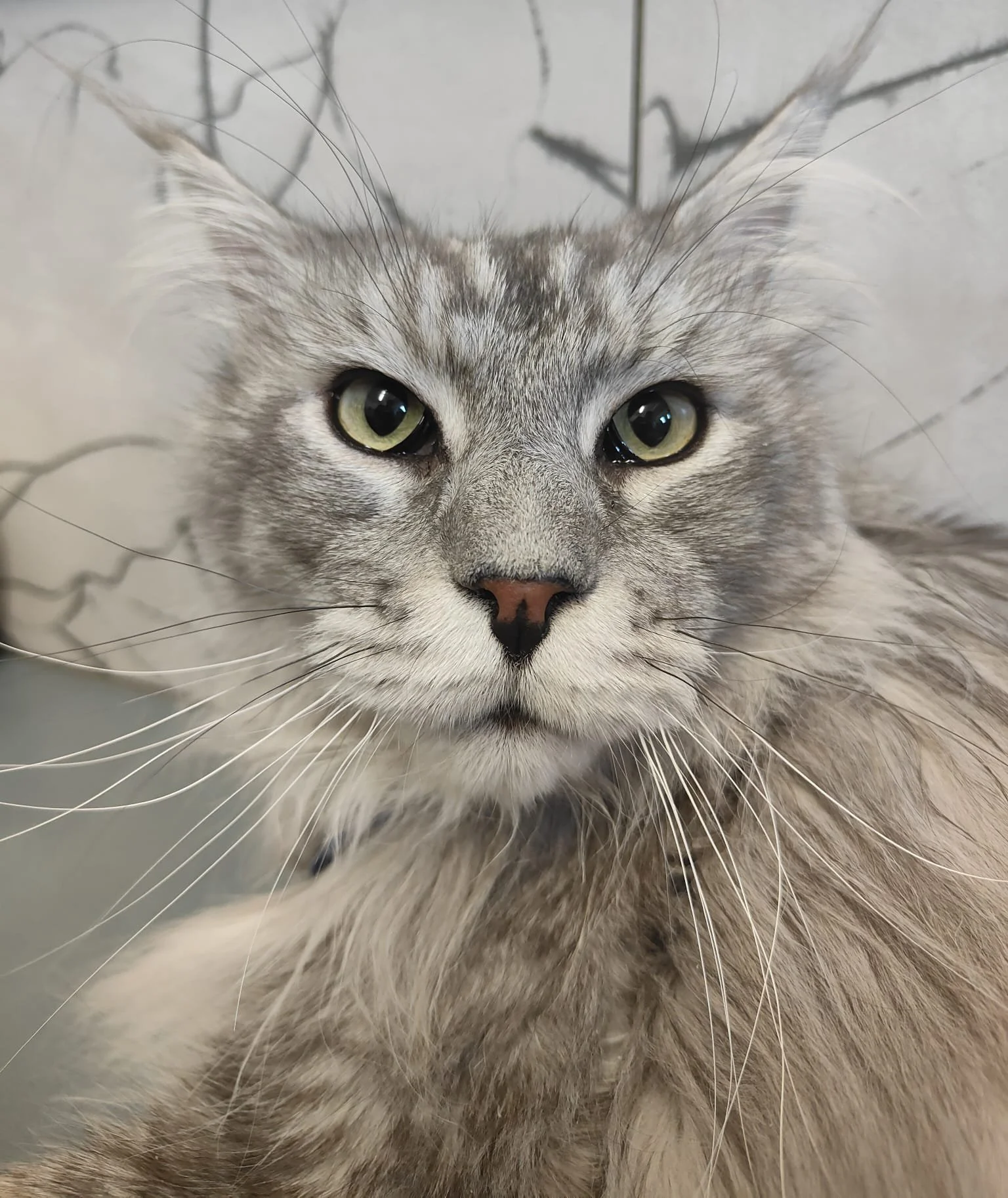 WhatsApp Image 2025-11-25 at 12.15.12.jpeg