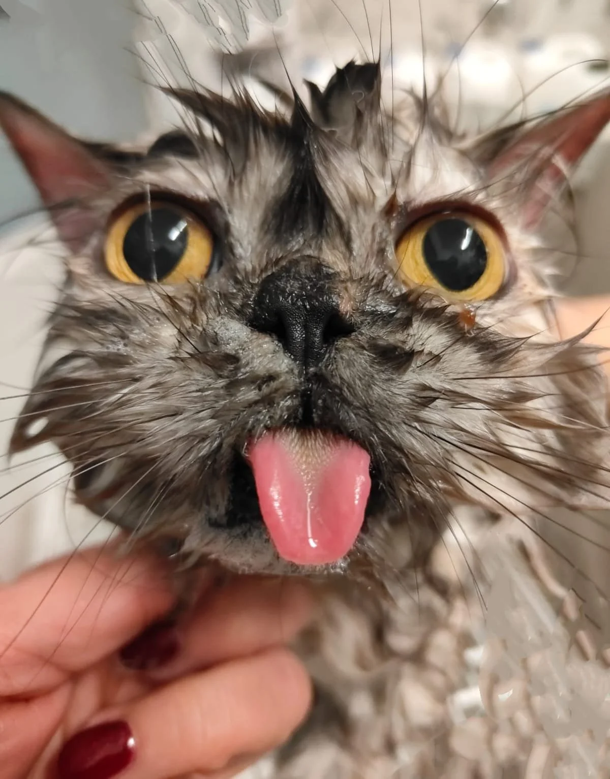 WhatsApp Image 2025-11-25 at 12.15.08.jpeg