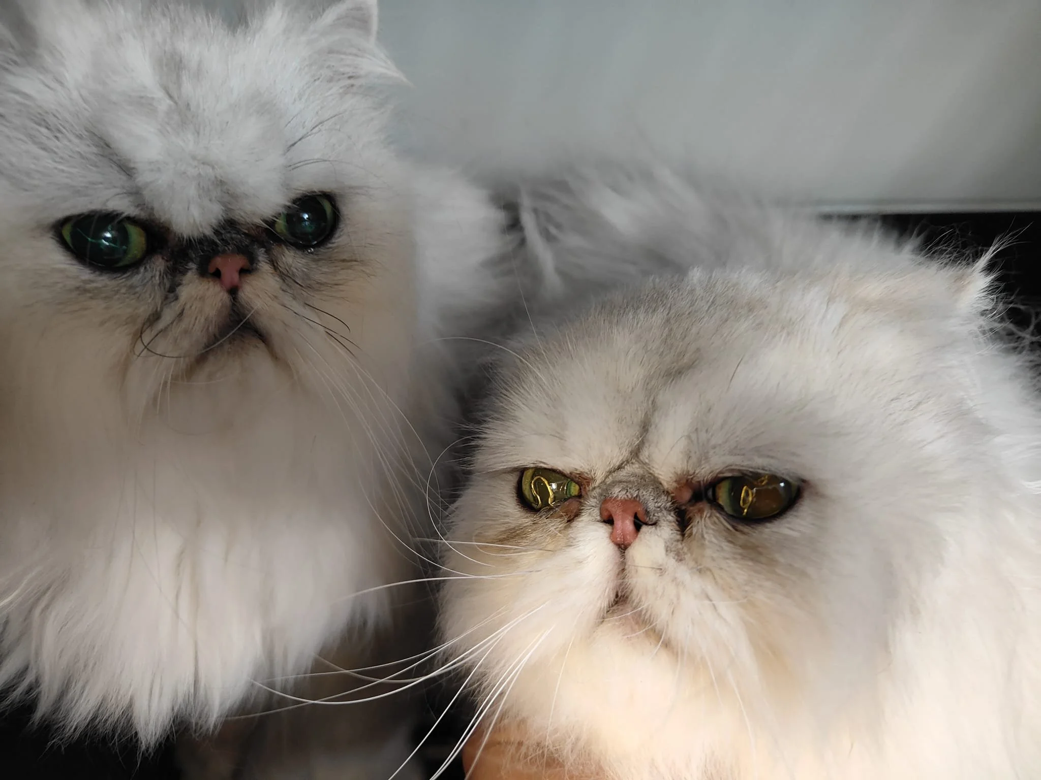 WhatsApp Image 2025-11-25 at 12.15.10 (1).jpeg