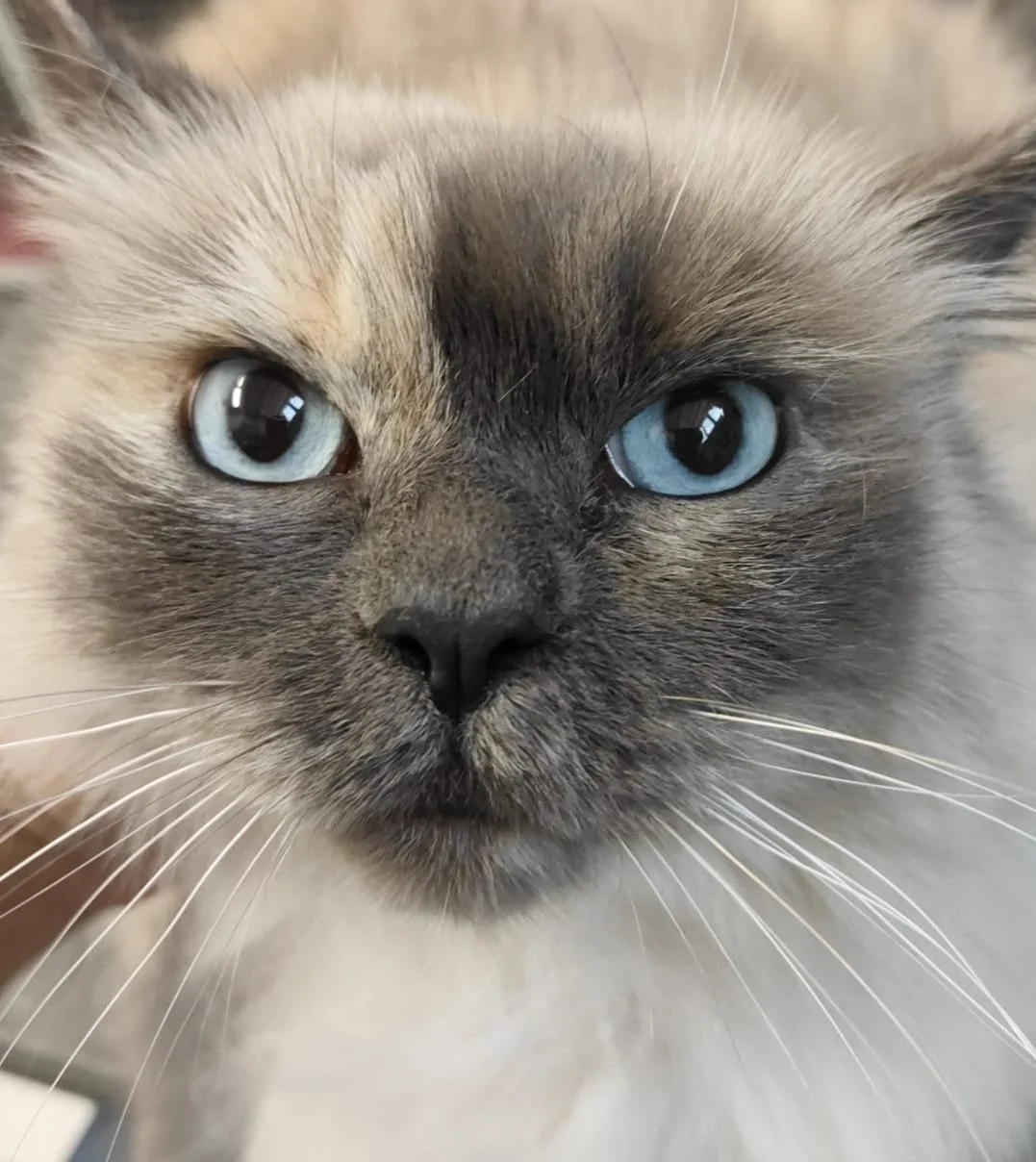 WhatsApp Image 2025-11-25 at 12.15.10 (2).jpeg