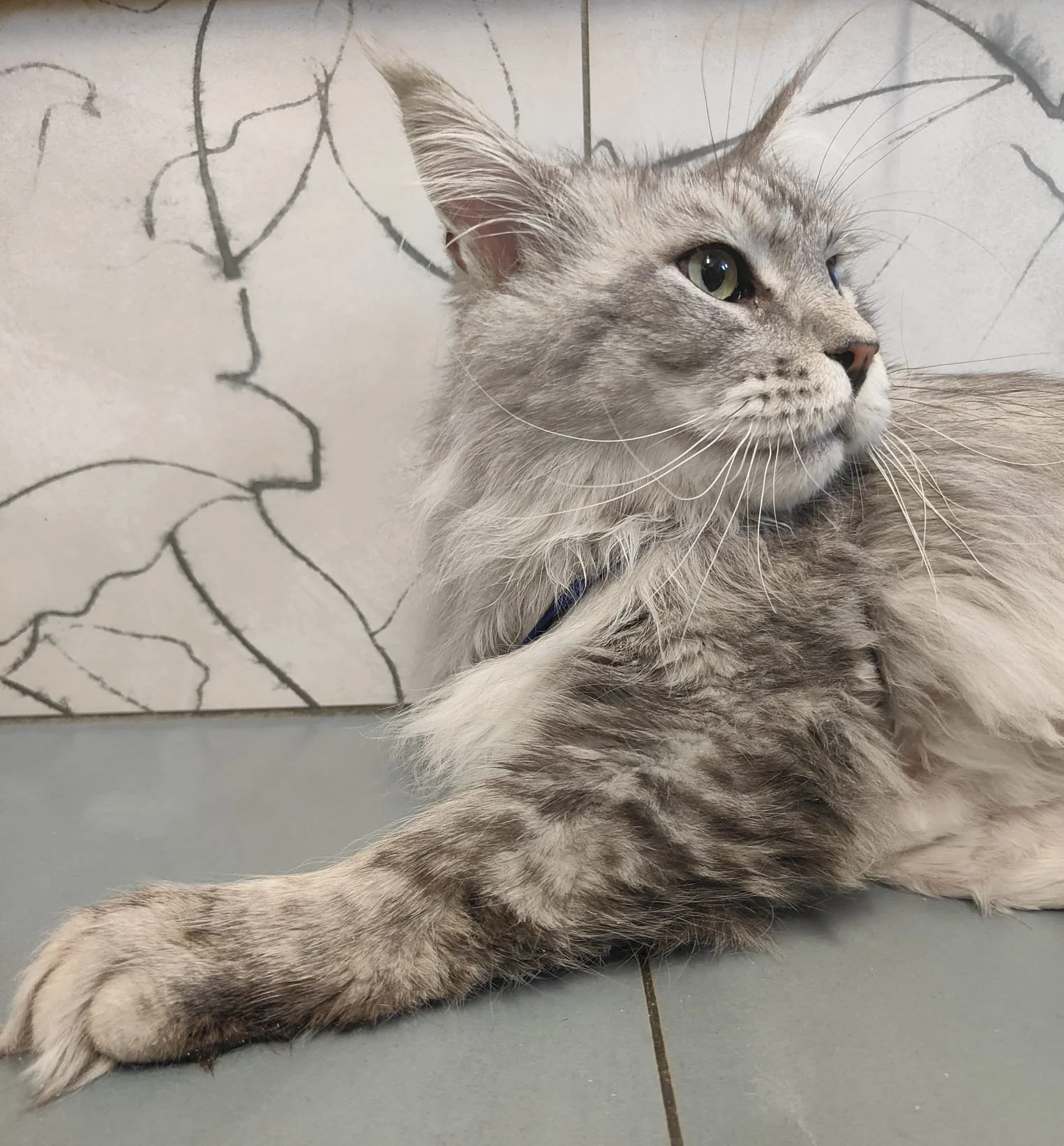 WhatsApp Image 2025-11-25 at 12.15.12 (1).jpeg