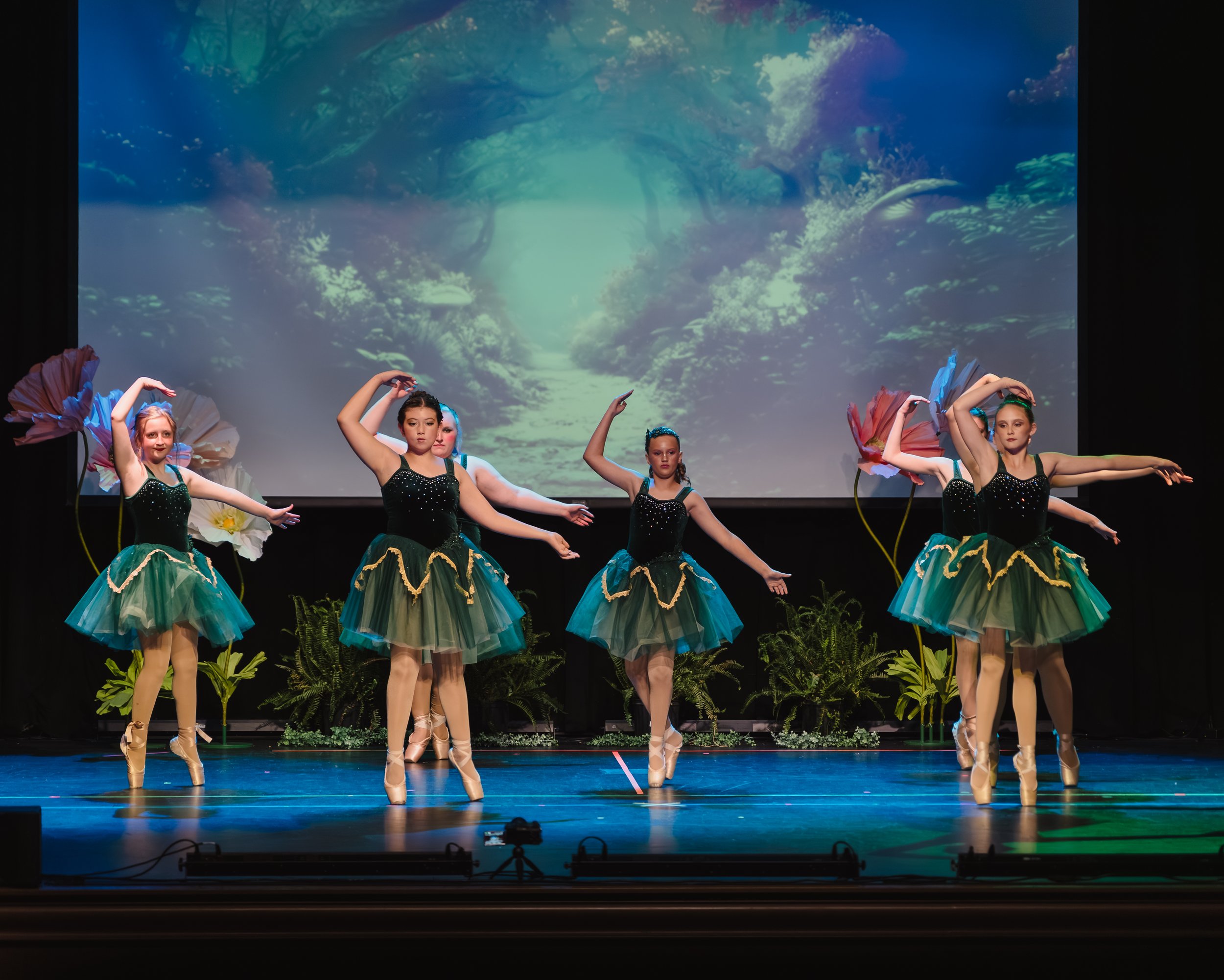 WT-Recital2026-66.jpg