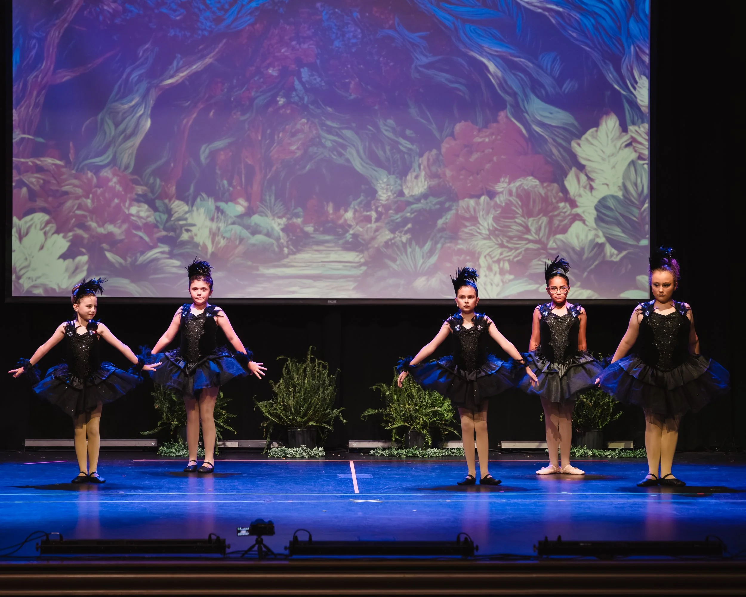 WT-Recital2026-164.jpg