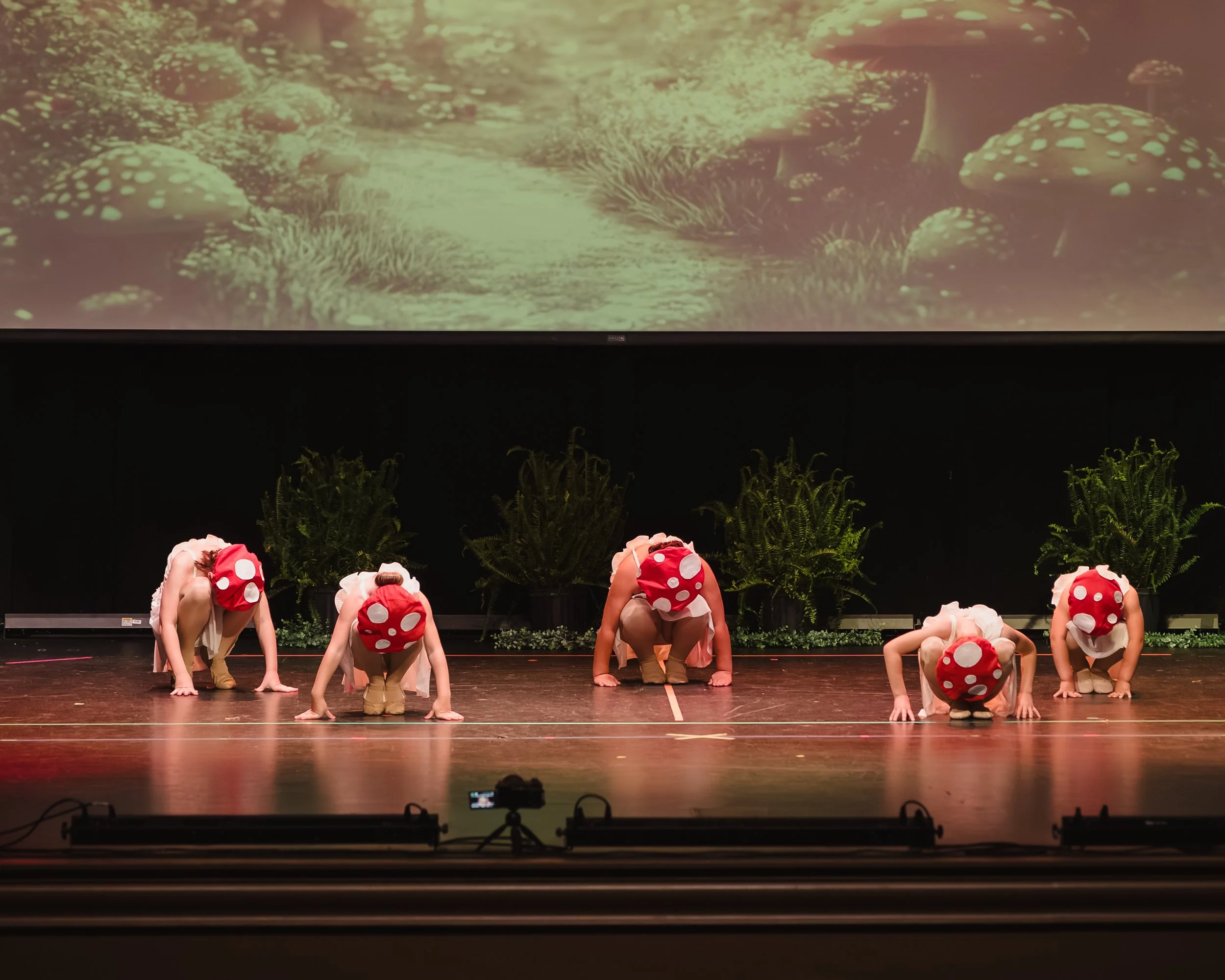 WT-Recital2026-148.jpg