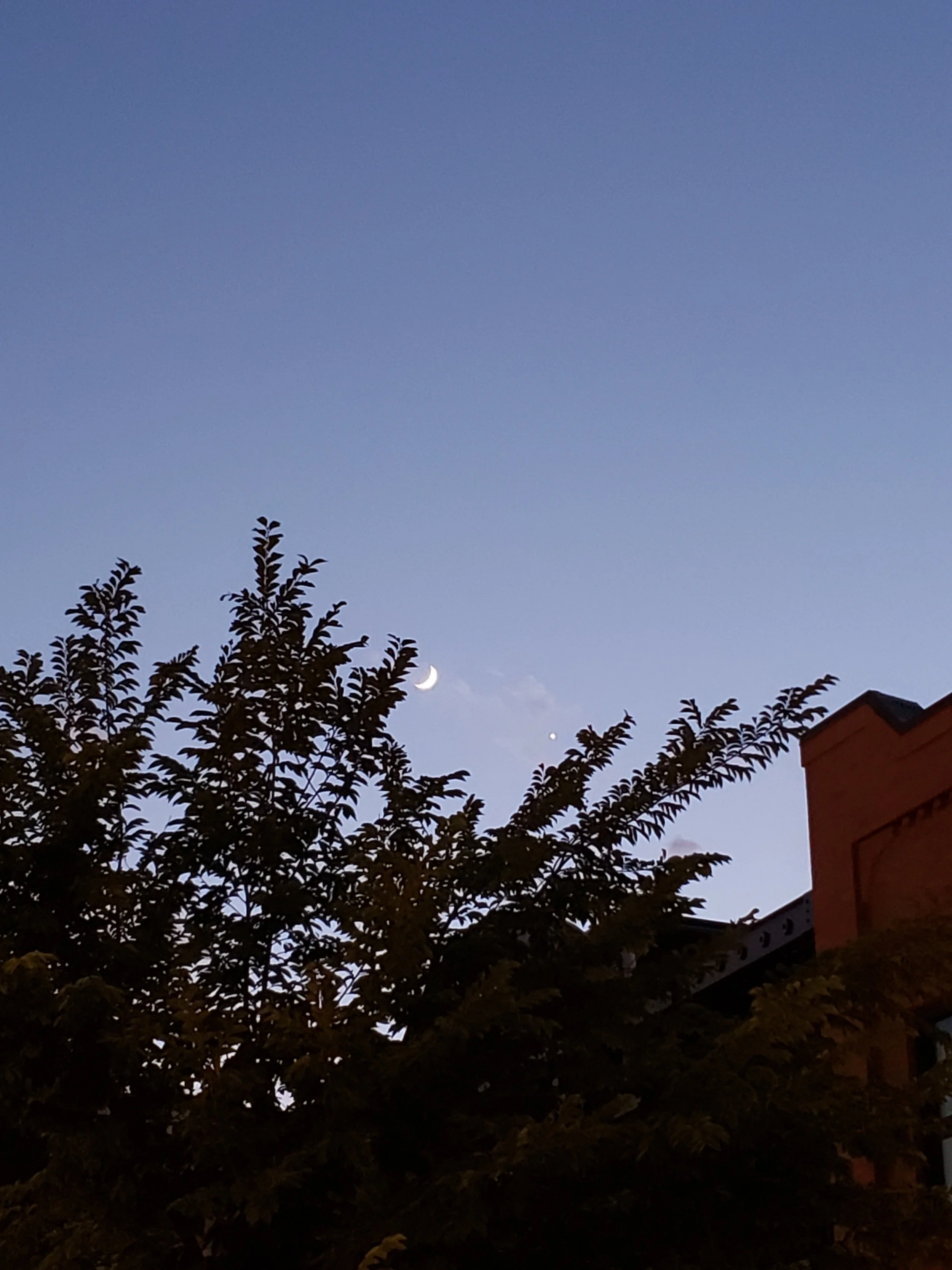 Weaving the Liminal: Creating Constellations