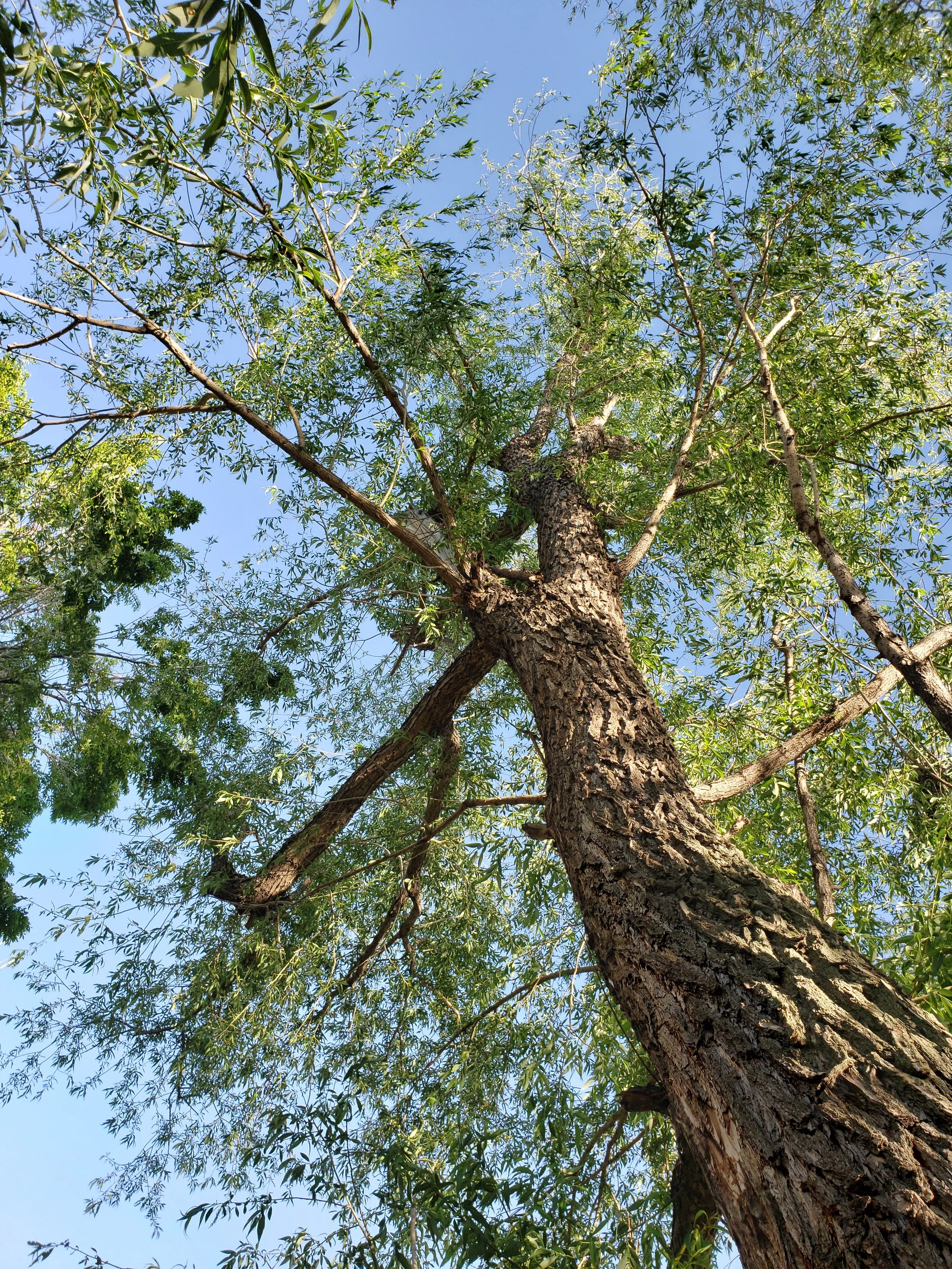 Weaving the Liminal: Invisible Threads