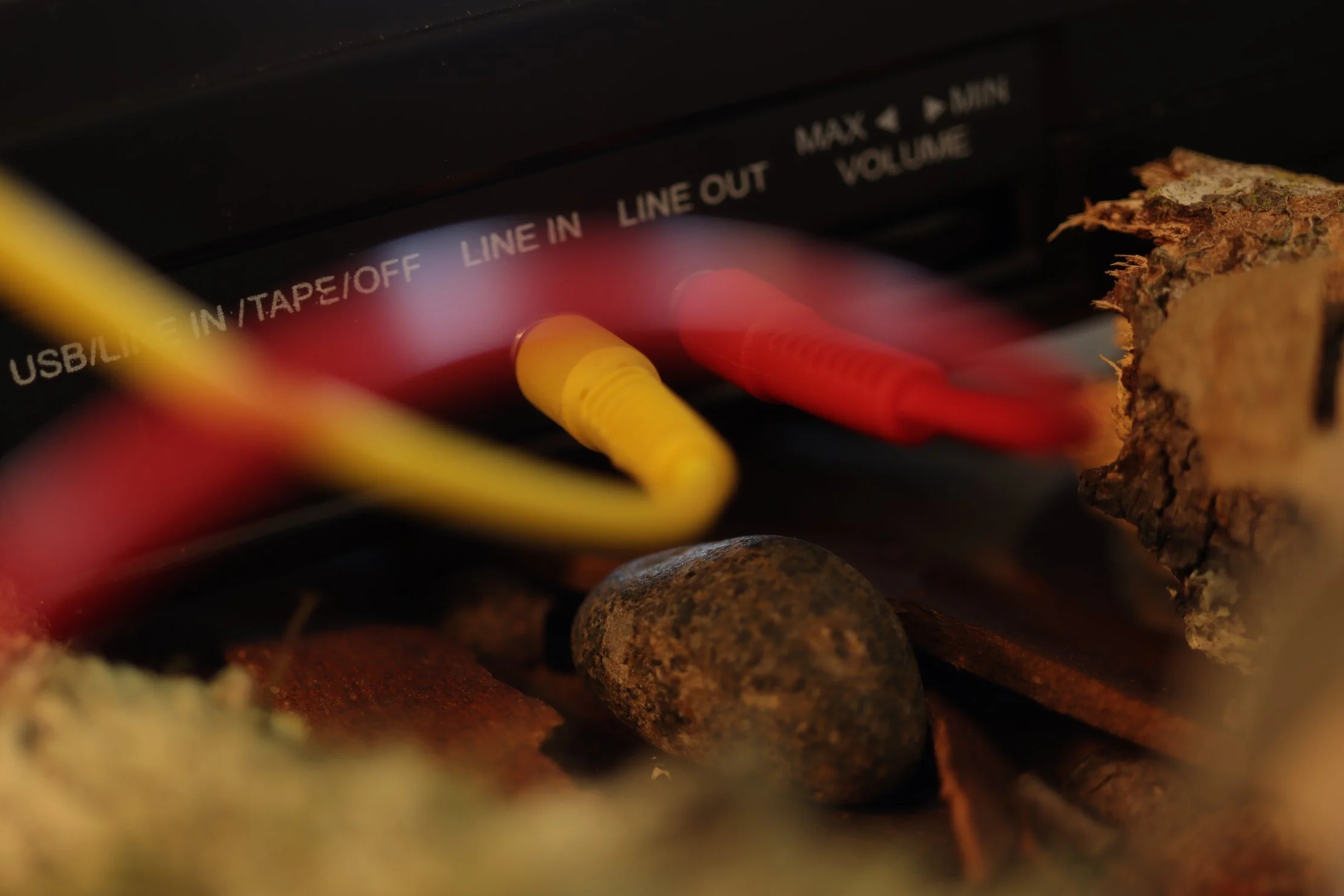 Electronics and woodland debris