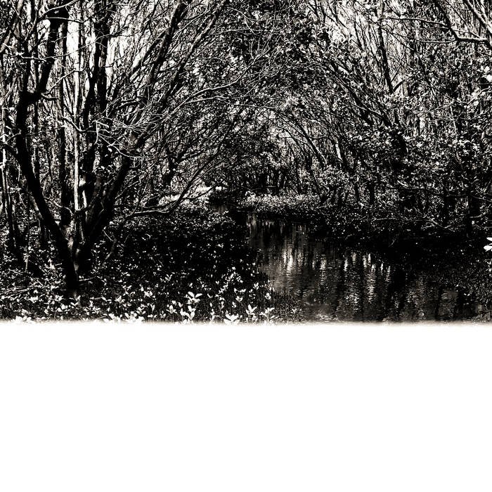 A black and white photo of a wooded area with a small river or stream running through it, surrounded by leafless trees.