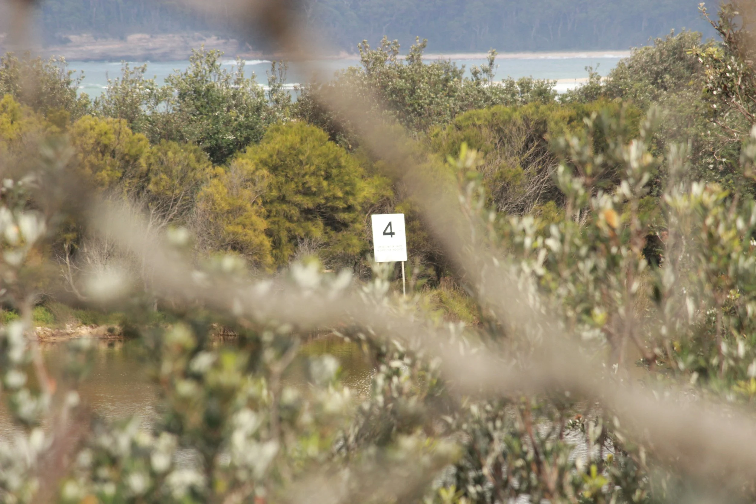 Samll sign in sand dune