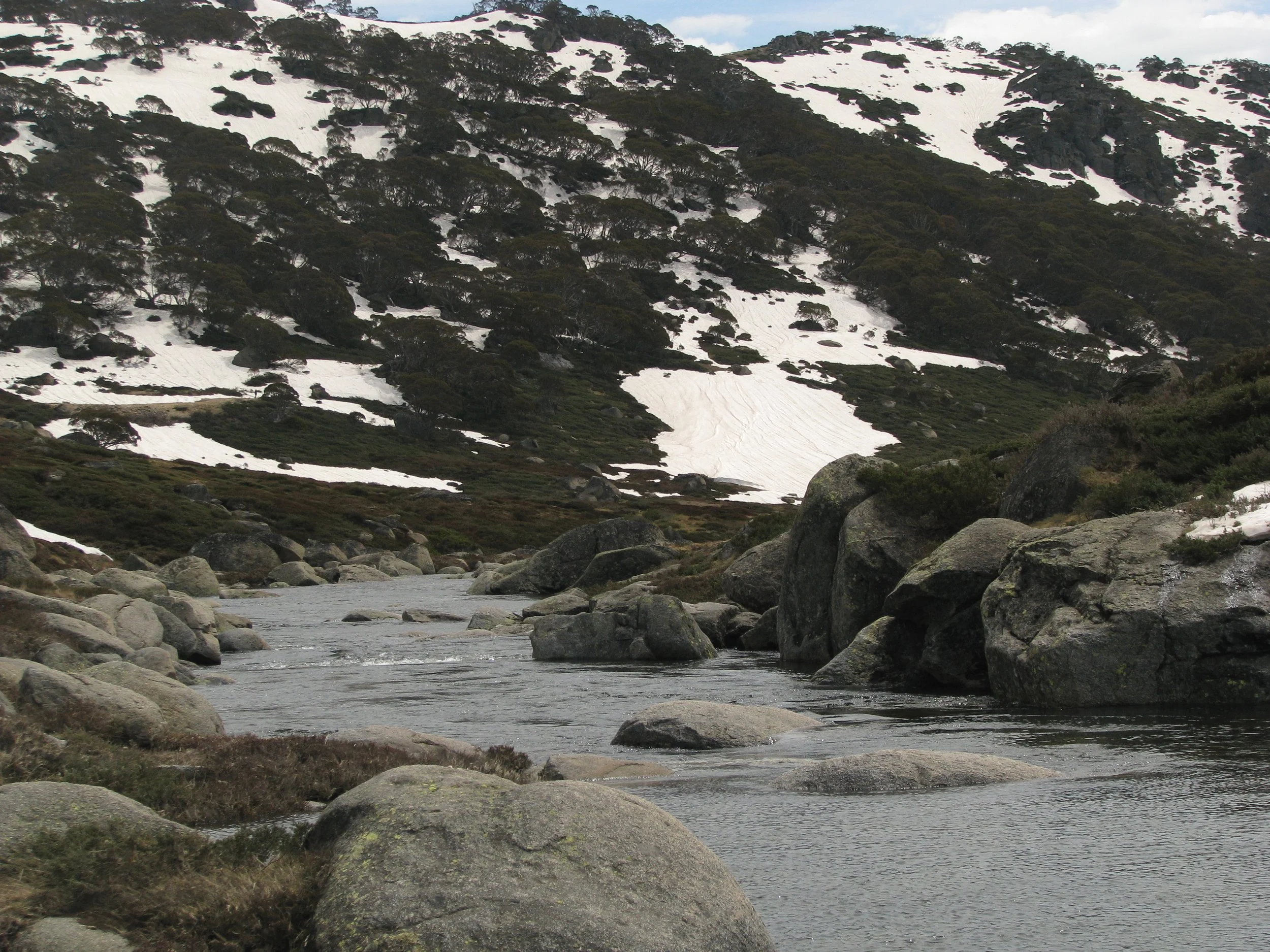 Australian alpine creekline