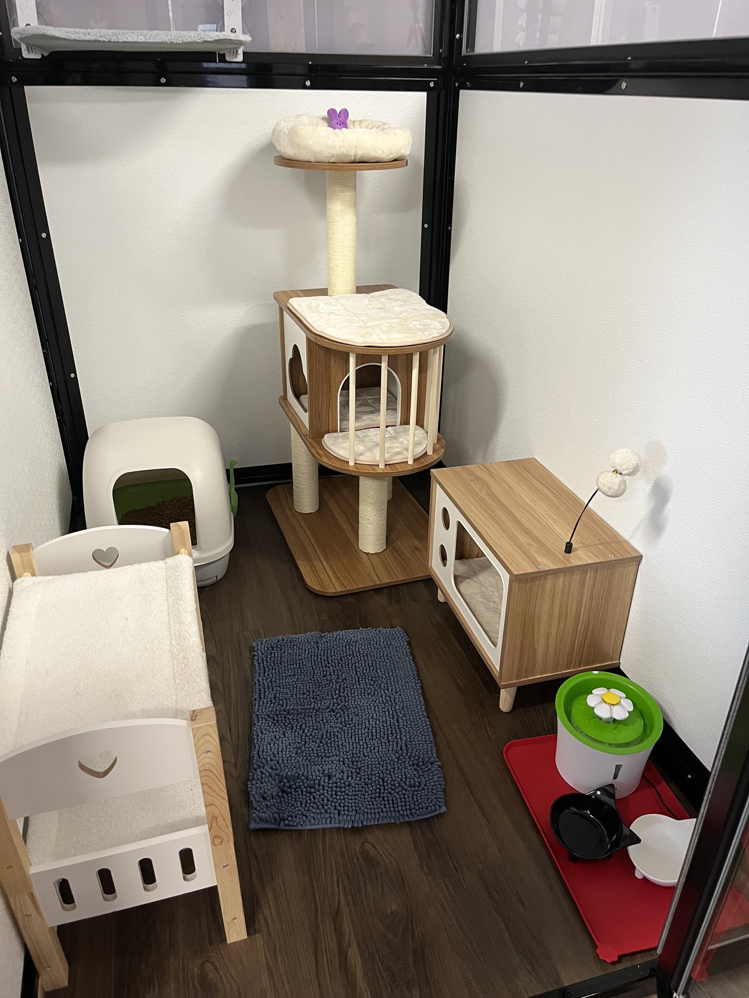 Small animal enclosure with a cat tree, litter box, bed, scratching post, and feeding area.
