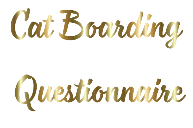 Gold colored text that says "Happy Holidays" in a stylized font.