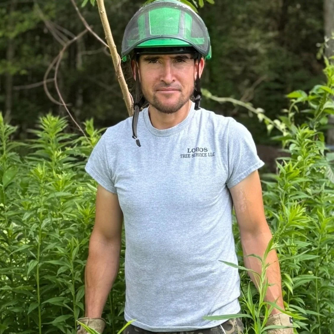 A man wearing a gray T-shirt with the logo "Lobos Tree Service LLC" and a green helmet standing among green plants in a wooded area.