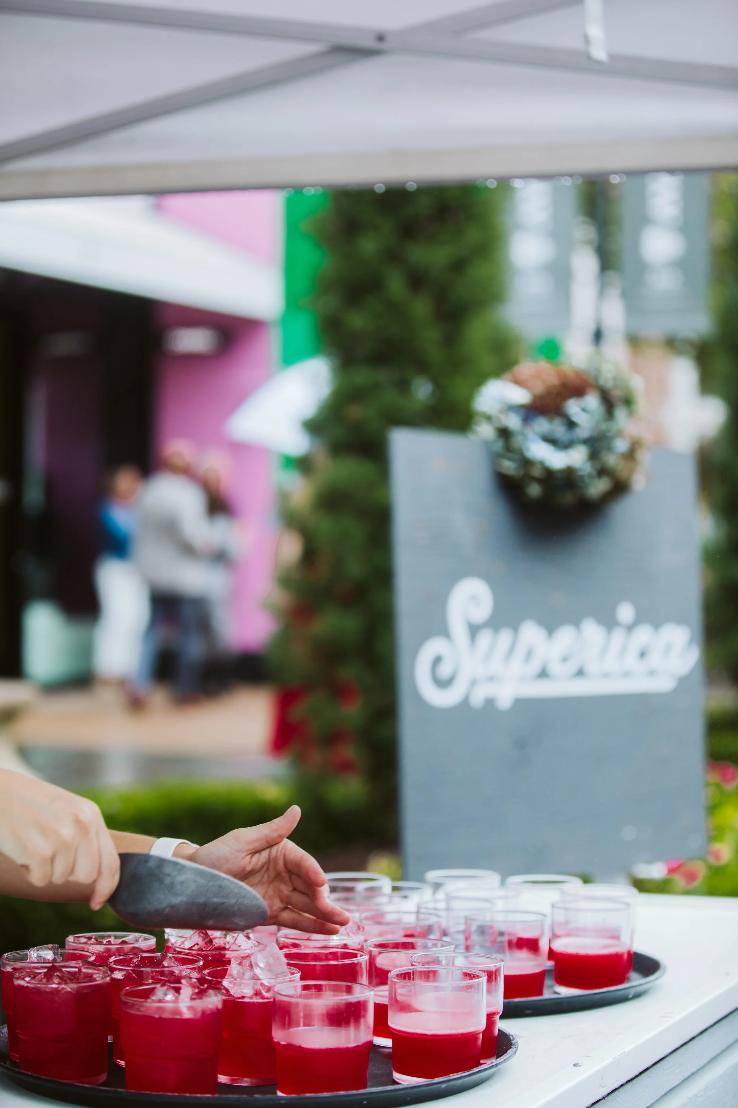 savbor the boulevard avalon