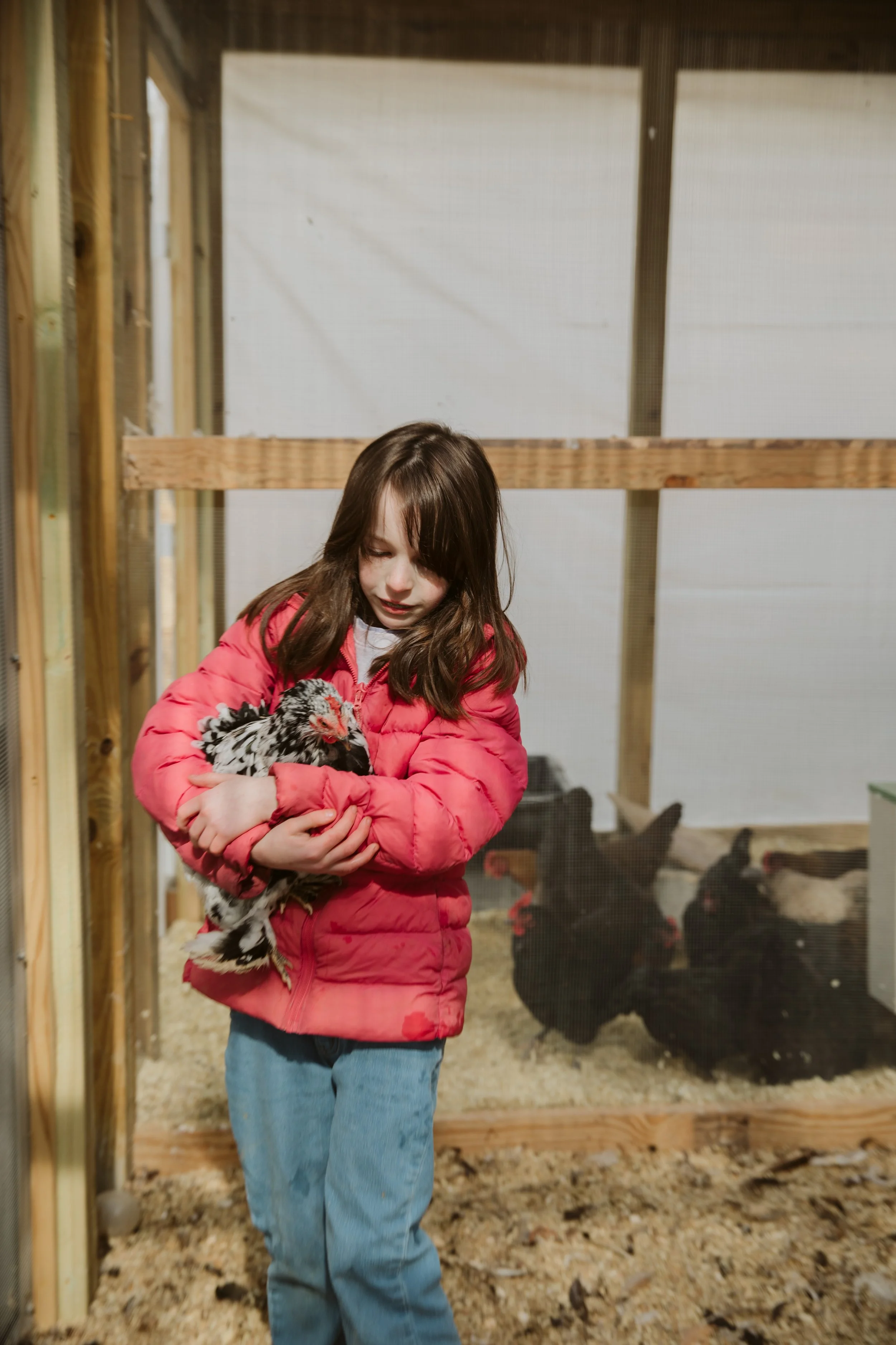 Children participating in hands-on homeschool education by feeding farm animals