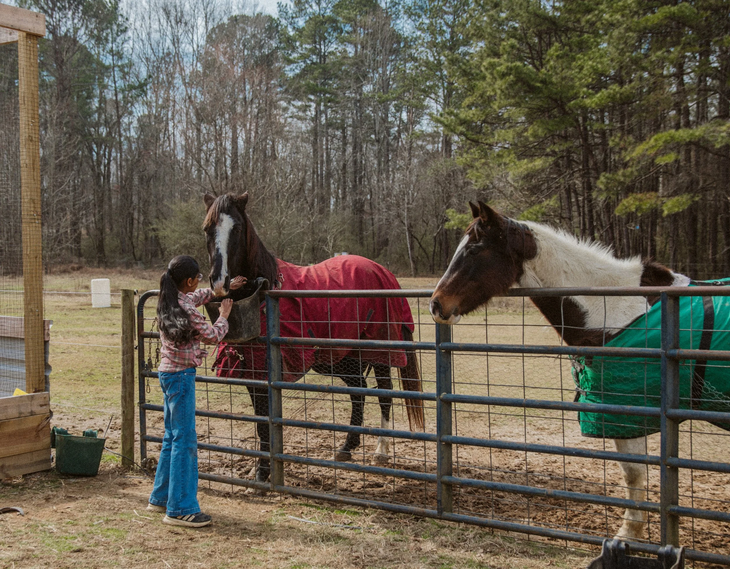 Ranch-based homeschool program teaching life skills through farm work