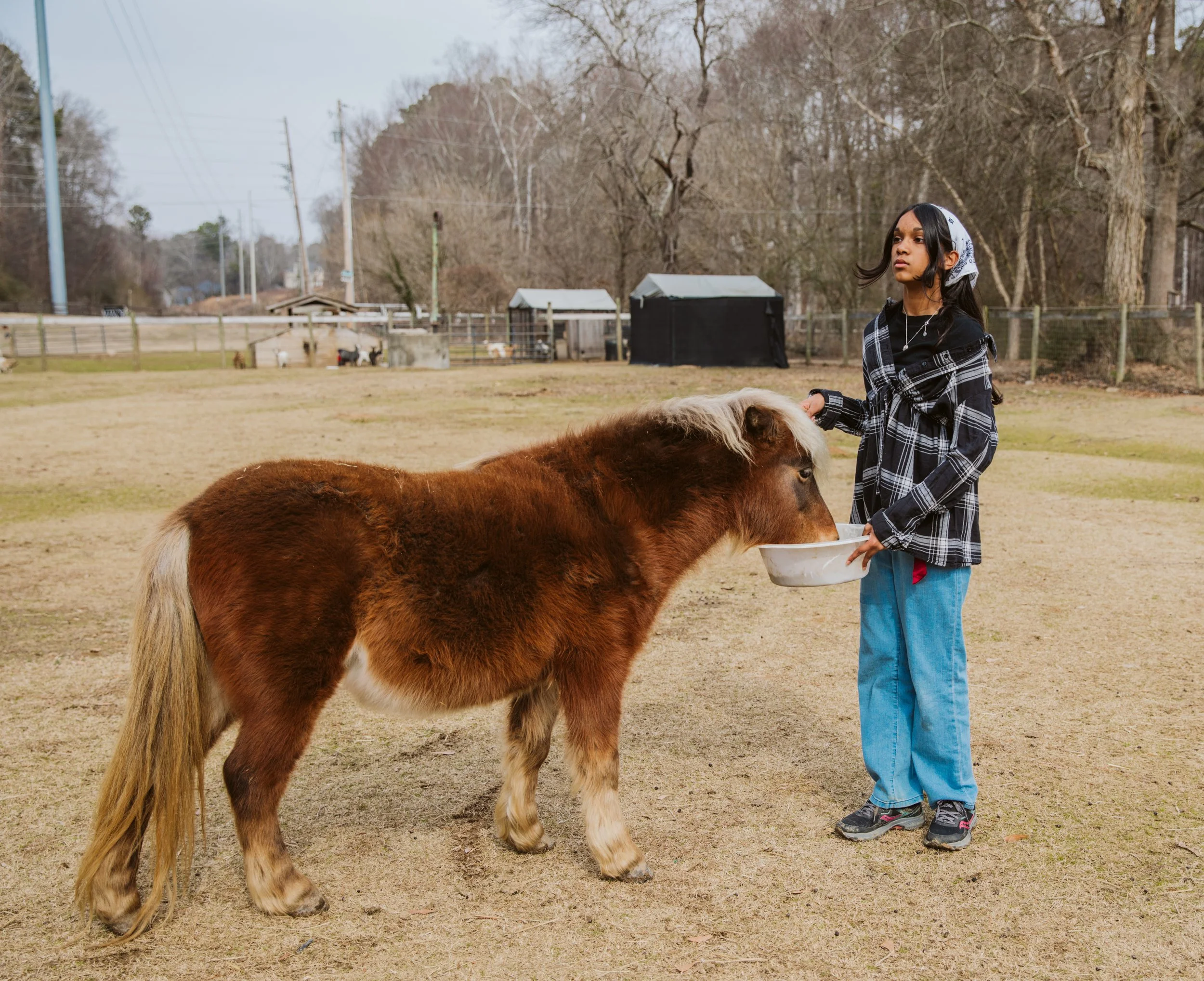 Child observing animals during a homeschool farm learning activity